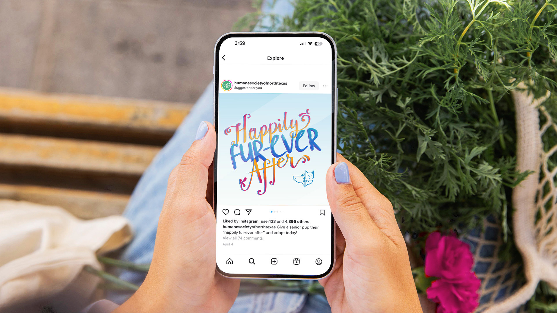 Woman looking at her phone. It is an Instagram post reading "Happily Fur-Ever After" by the Humane Society of North Texas.
