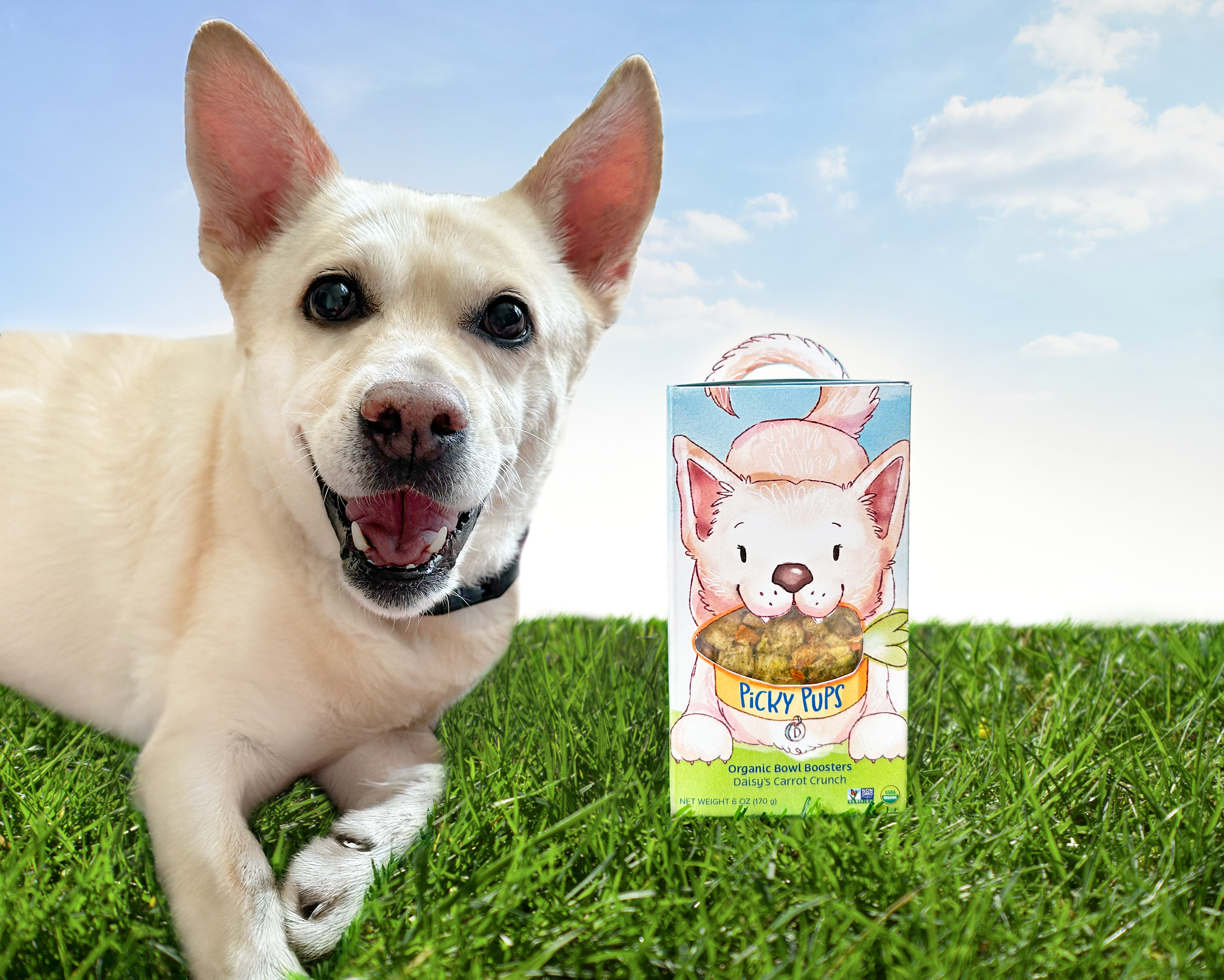 White dog beside package design. 