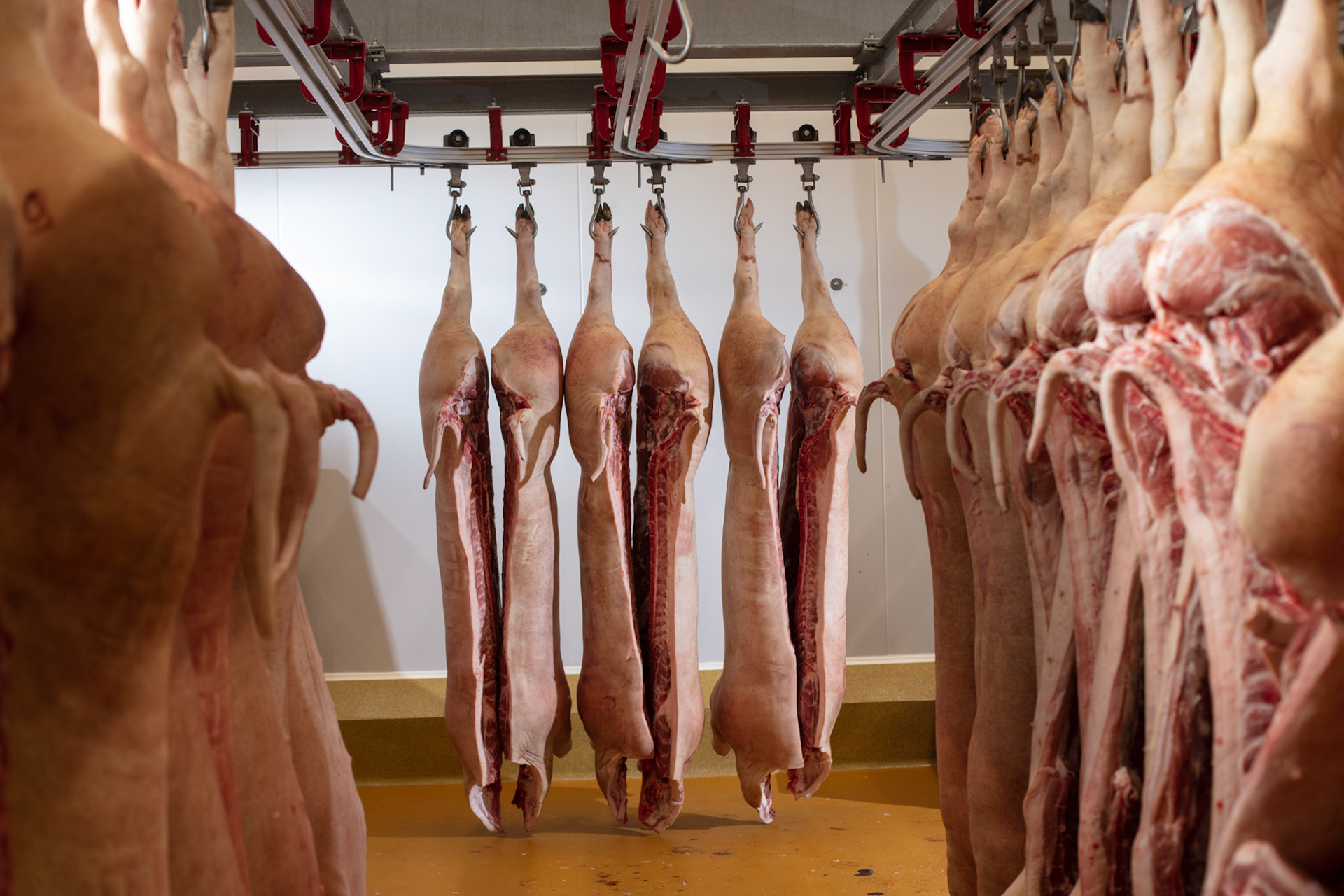 20190207 AARTSELAAR Belgium Butcher Butchers Craft Luc De Laet ambachtelijk slager die zijn activiteit groots aanpakt pict FRANK ABBELOOS