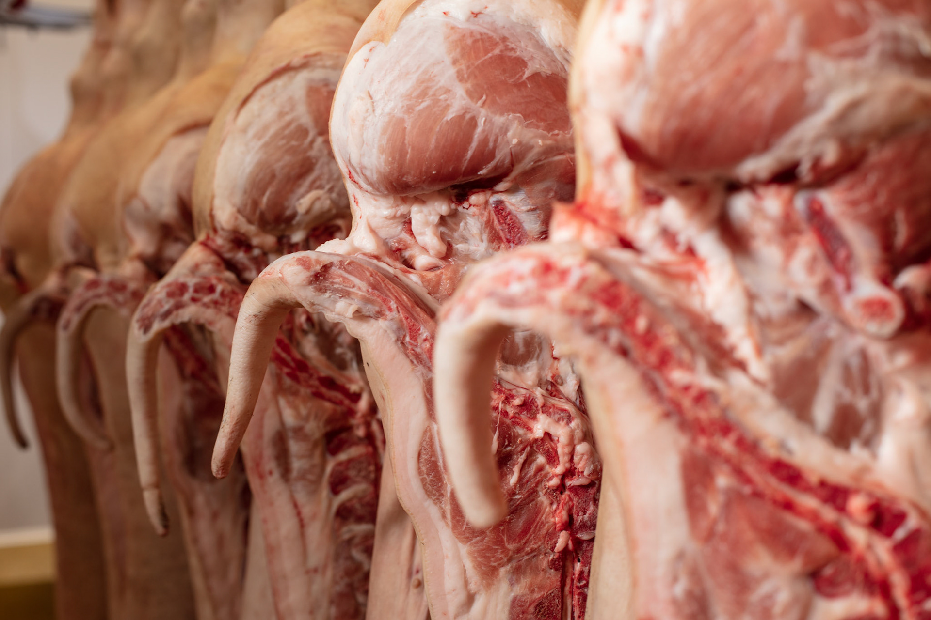 20190207 AARTSELAAR Belgium Butcher Butchers Craft Luc De Laet ambachtelijk slager die zijn activiteit groots aanpakt pict FRANK ABBELOOS