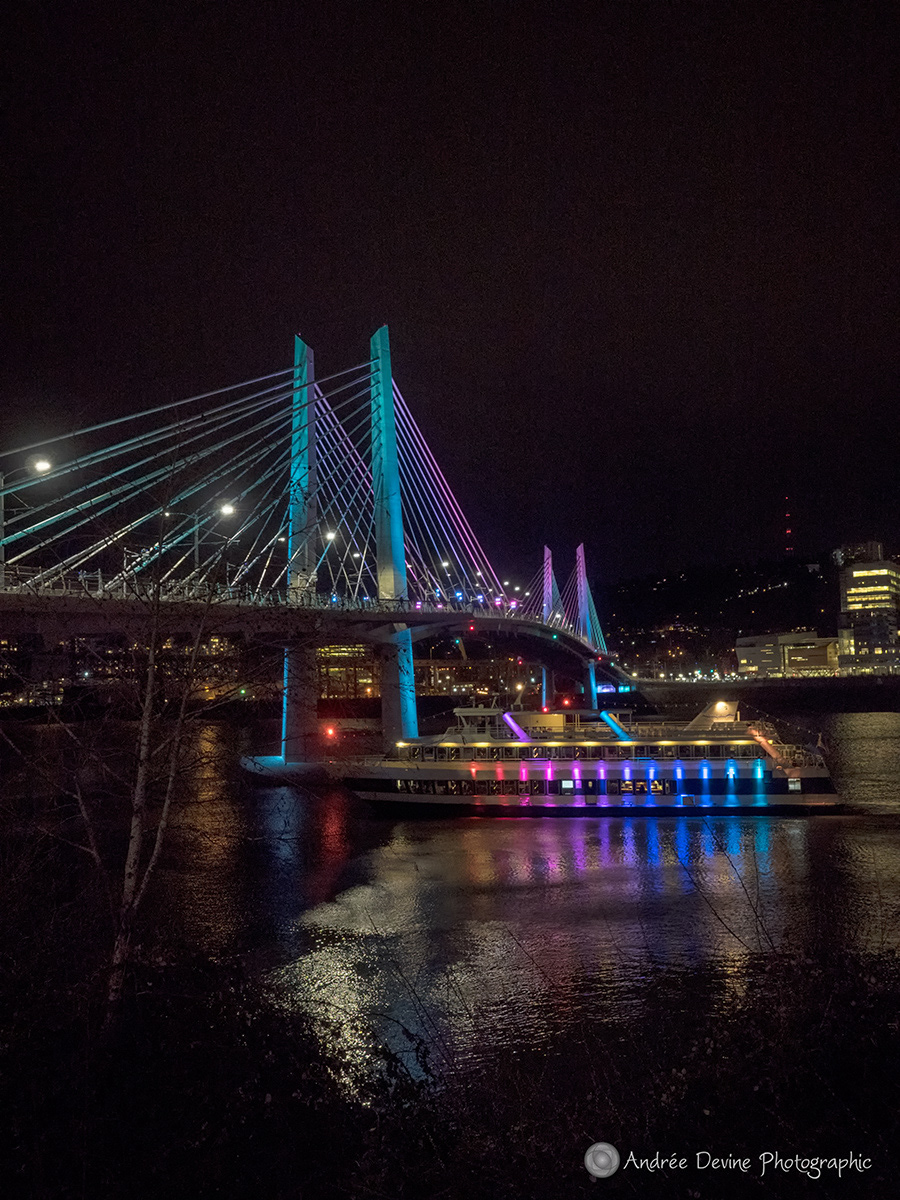Lighting up the Dark Winter Night