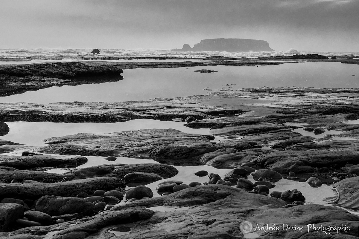 Quiet Pools, Otter Rock Marine Reserve