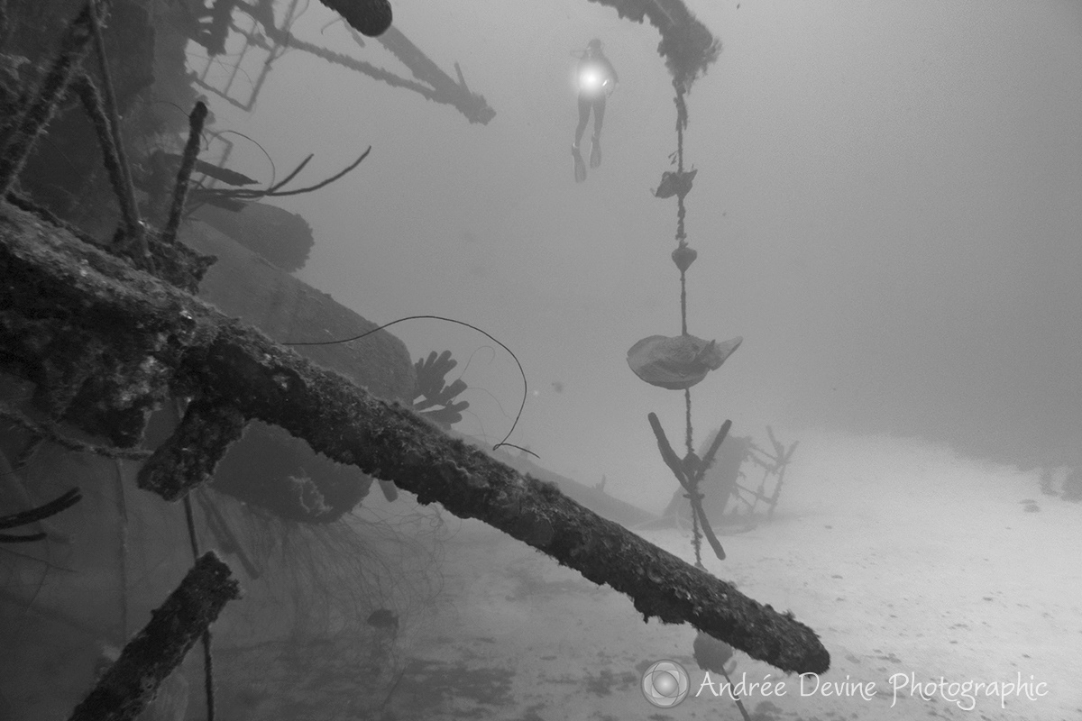 Wreck Dive (The Hilma Hooker, Bonaire)