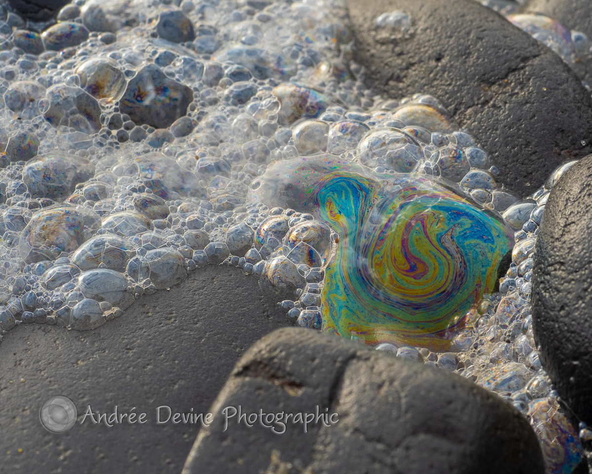 Groovy Bubbles