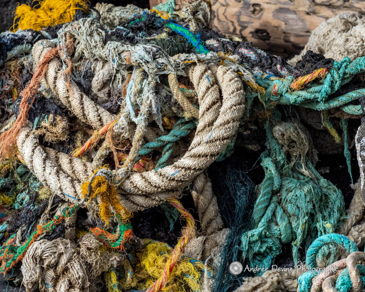 Wabi Sabi Washed Ashore. A tangle of fishing ropes among the rocks and driftwood.