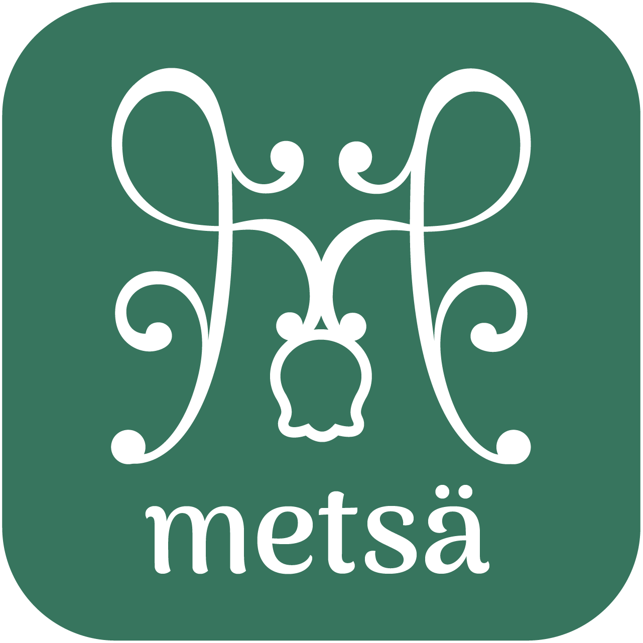 Logo- Adobe Illustrator