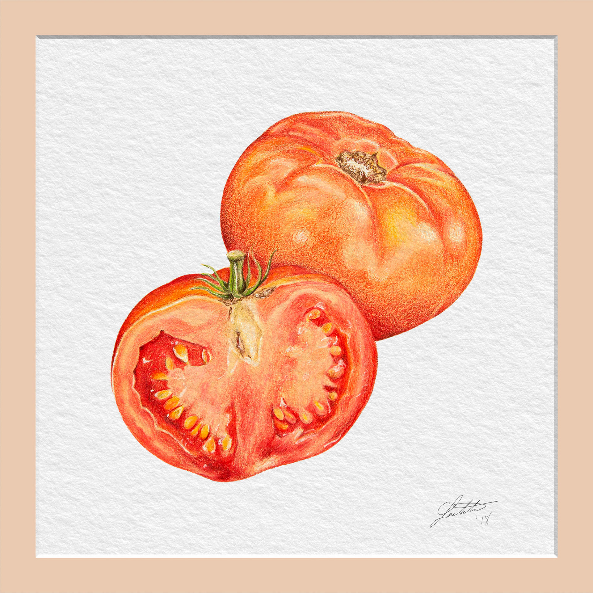 Tomate Rouge Paragon - Color Pencil