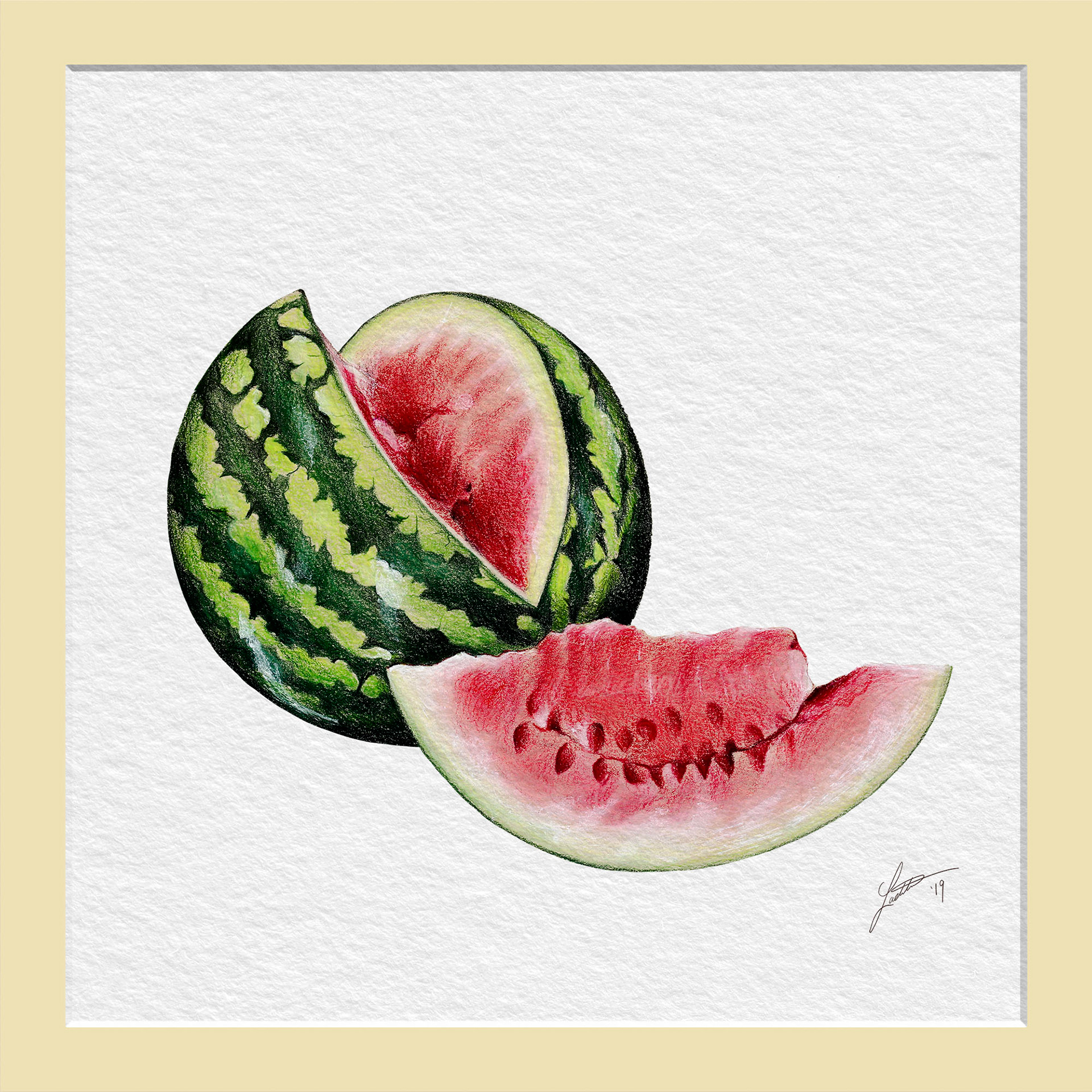 Watermelon Melitopolski - Color Pencil