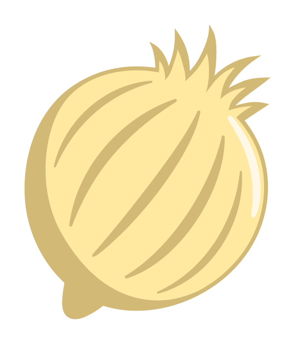 Whole onion illustration.