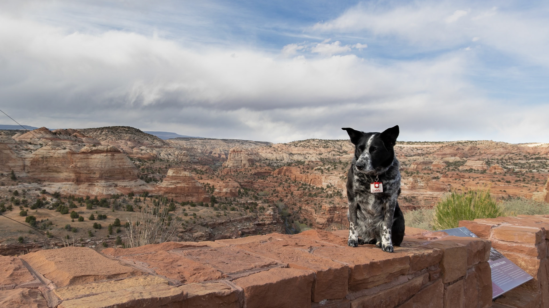 One of the most awesome overlooks on Utah's SR 12  is just above the Escalante river where the road snakes down to cross the river before taking a course north along Calf Creek and Lower Calf Creek.The canyon colors are simply amazing.