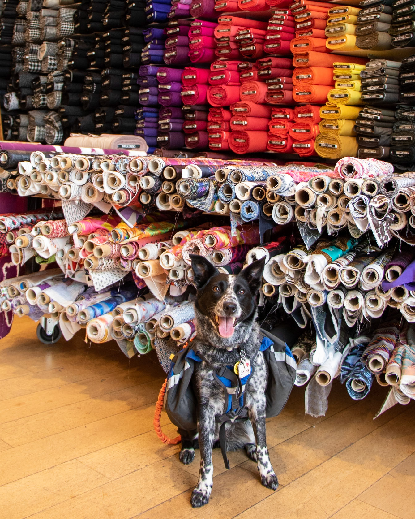 Hanging out at the Britex Fabric Shop in San Francisco while waiting for Mom