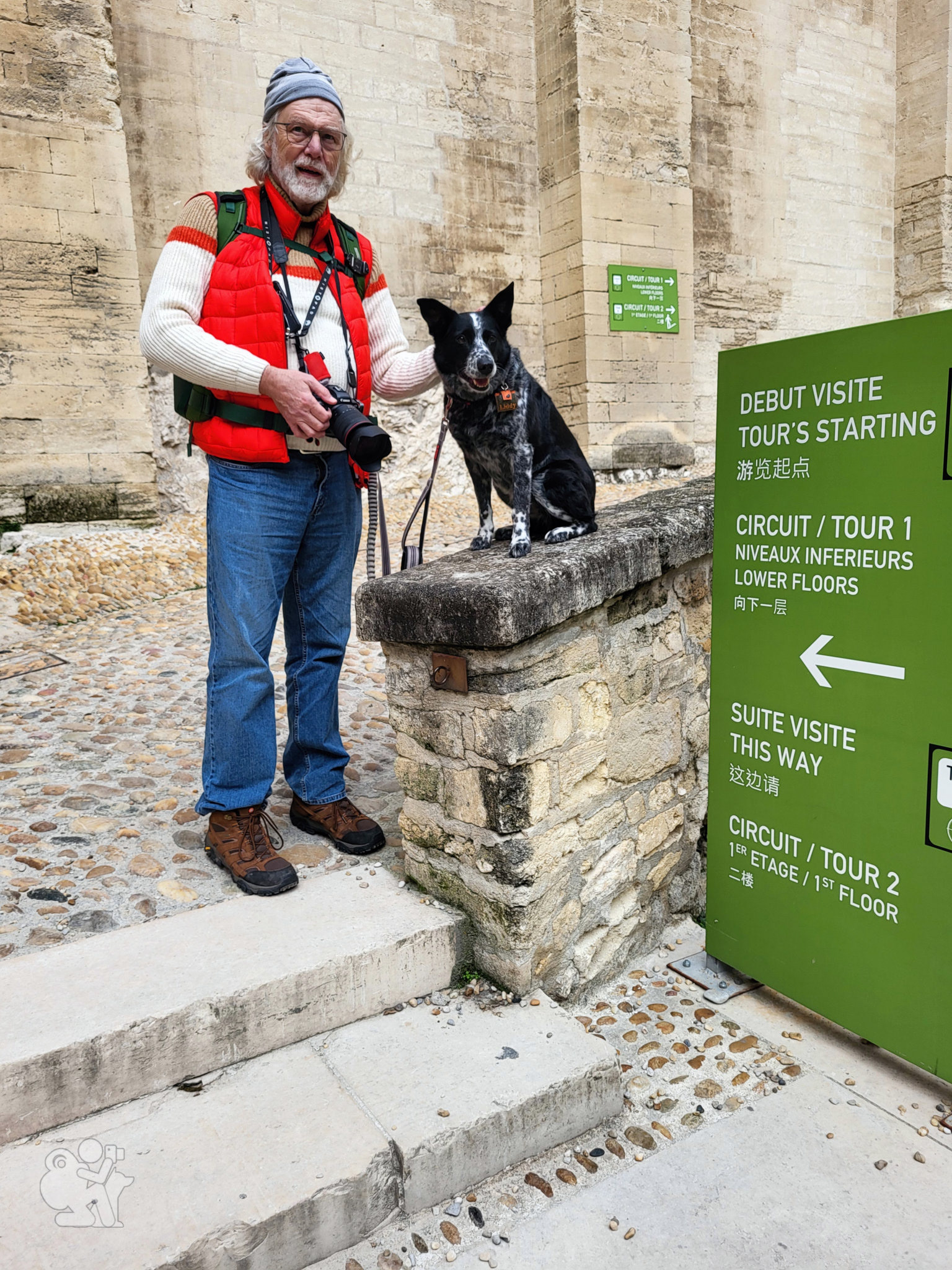 A photographer stands beside a dog sitting on a wall.