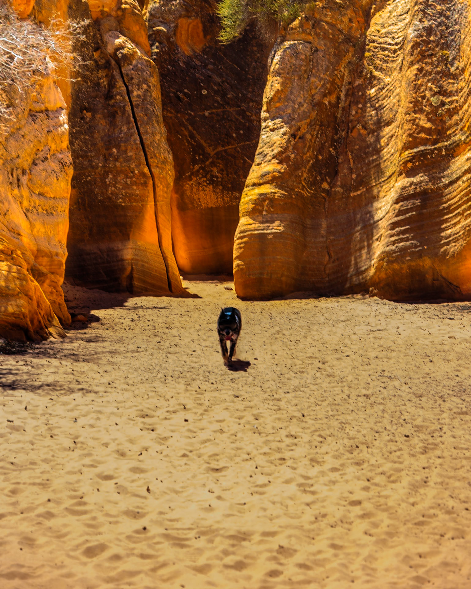 Liddy Leaving Diana's Throne Slot Canyon