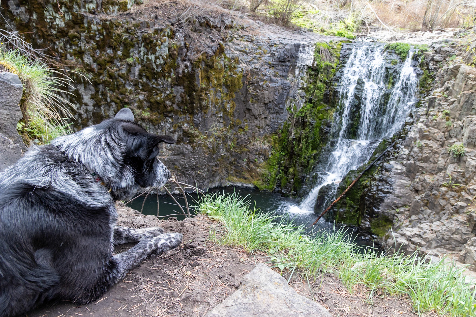 Umtanum Creek Falls. Liddy and I walked in these falls in April of 2021. Not a terribly large waterfall, but a nice short hike.I got Liddy to hold this pose long enough to squeeze off a frame or two.