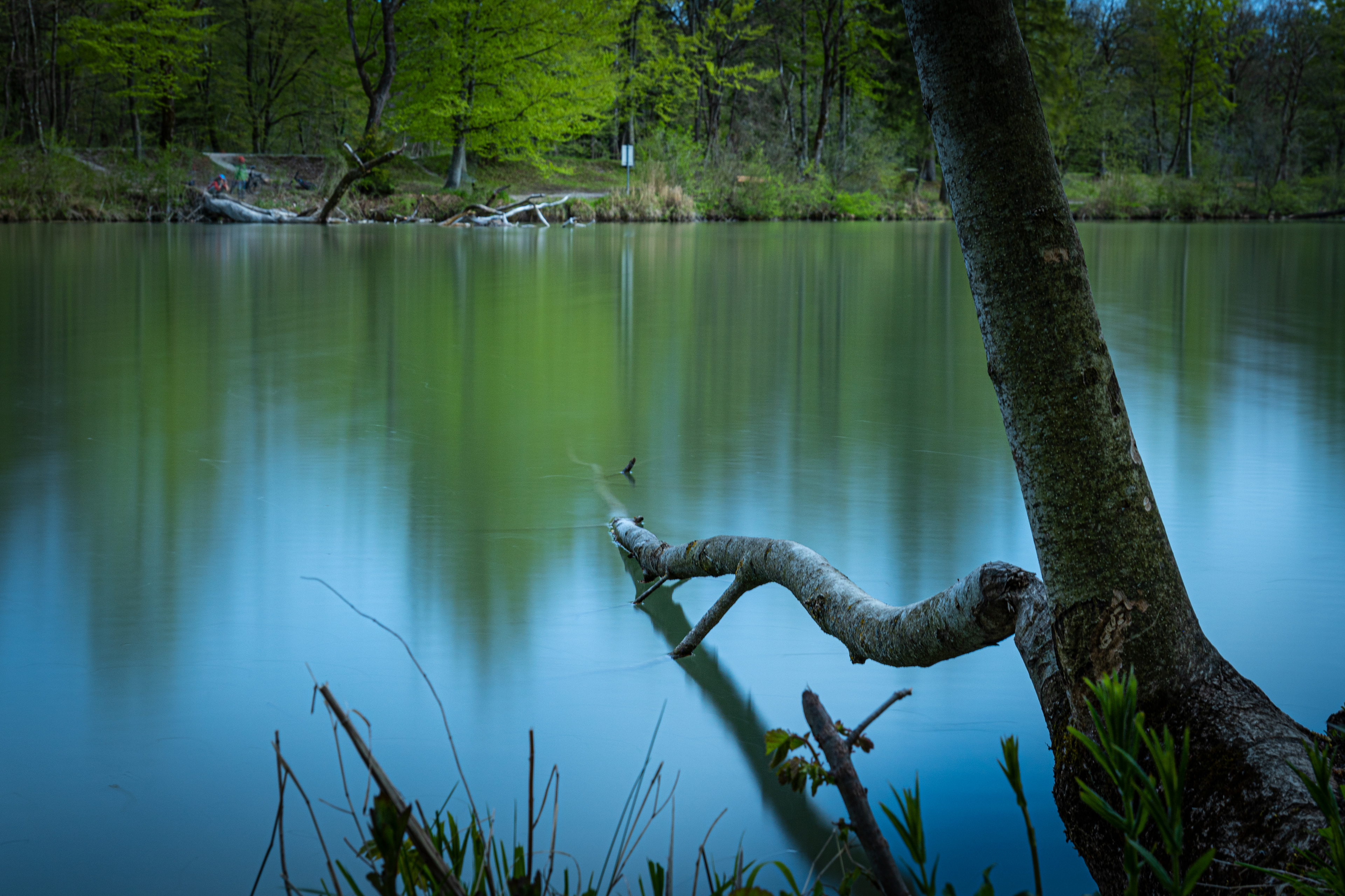 Hinterbrühler See
