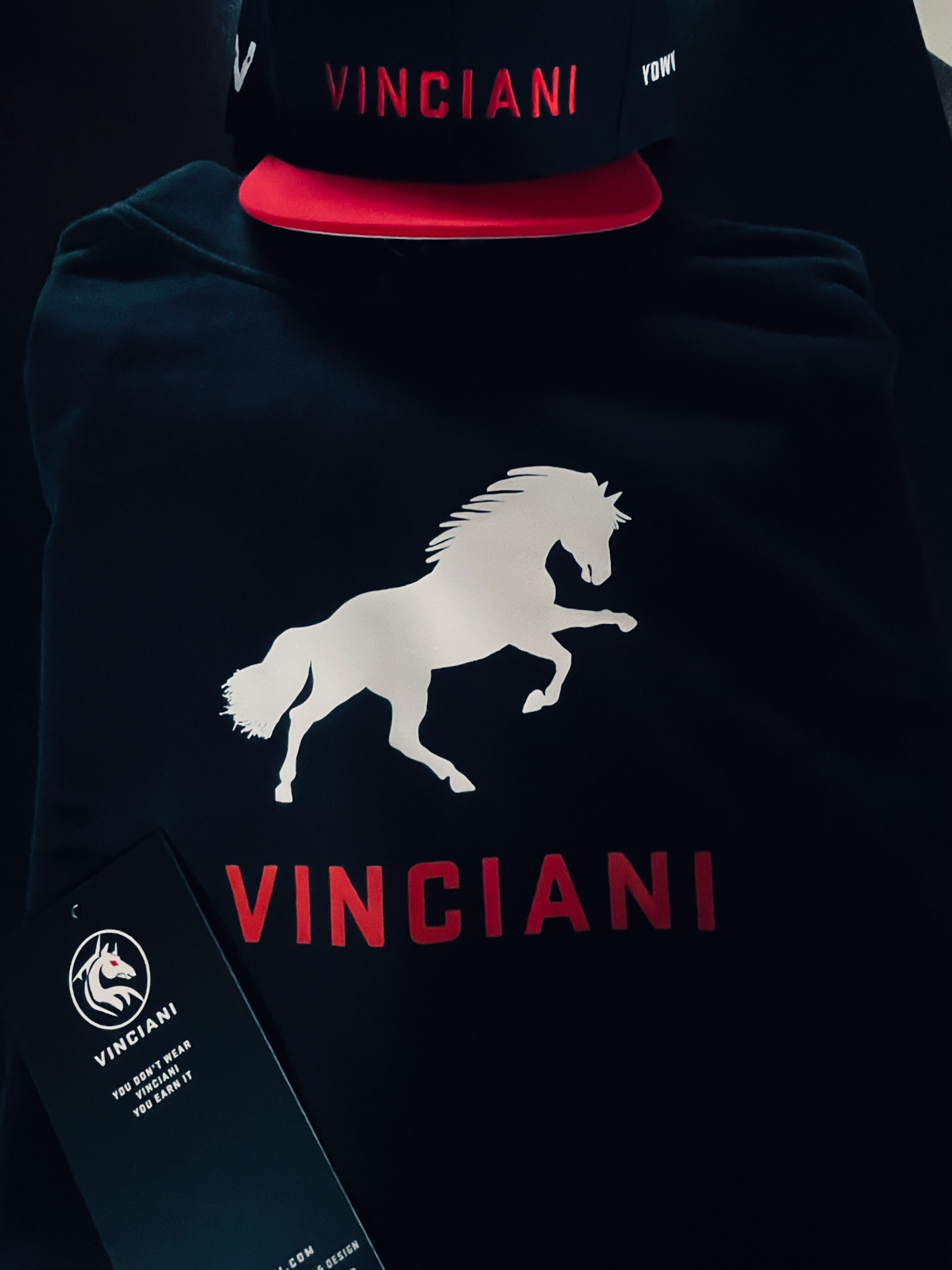 A detailed compilation showcasing realization of the House of Vinciani, featuring the Vinciani Forward Sigil and wordmark on the cap.