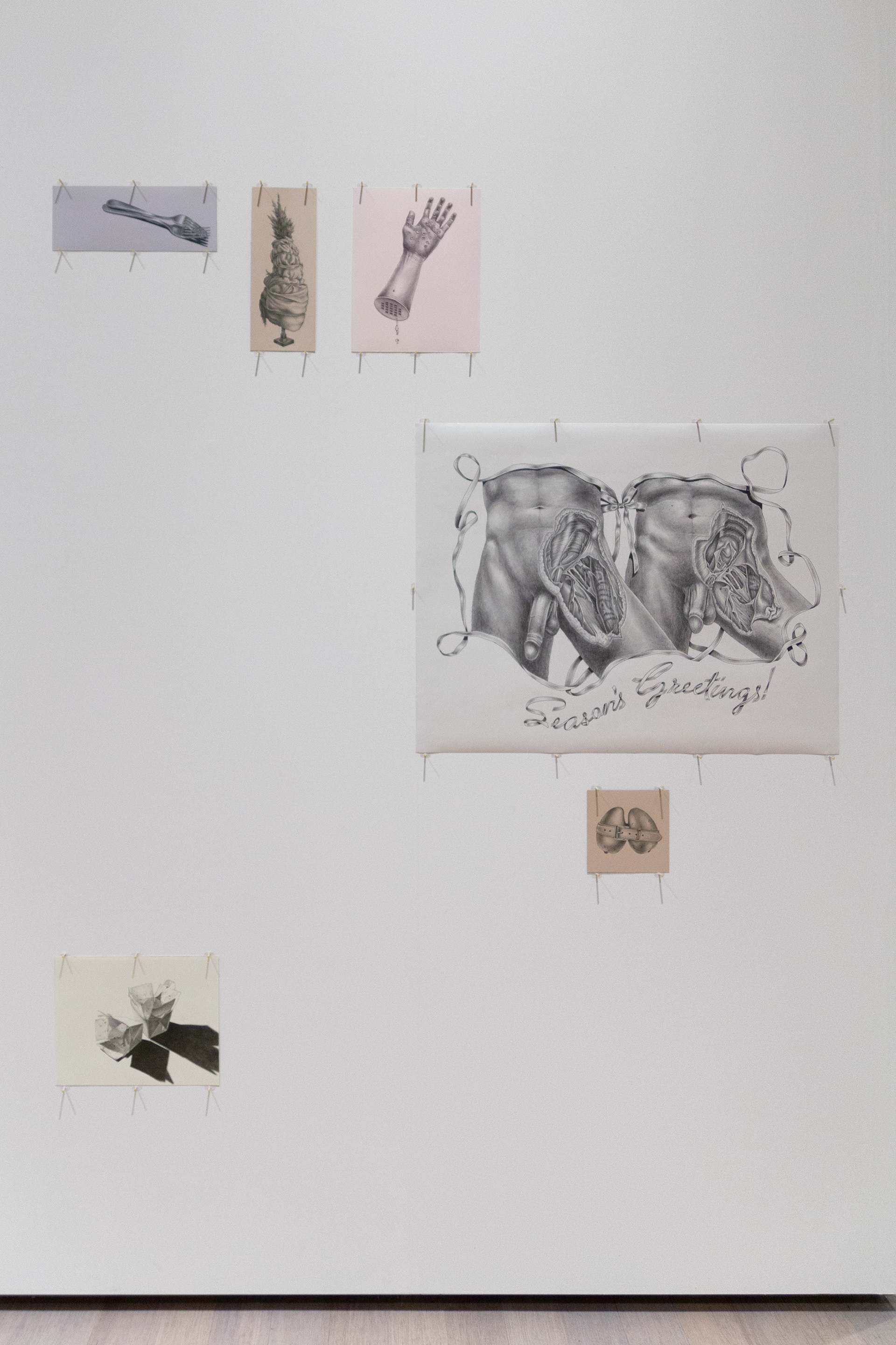 Installation view of MFA Thesis Exhibition by Andrius Alvarez-Backus