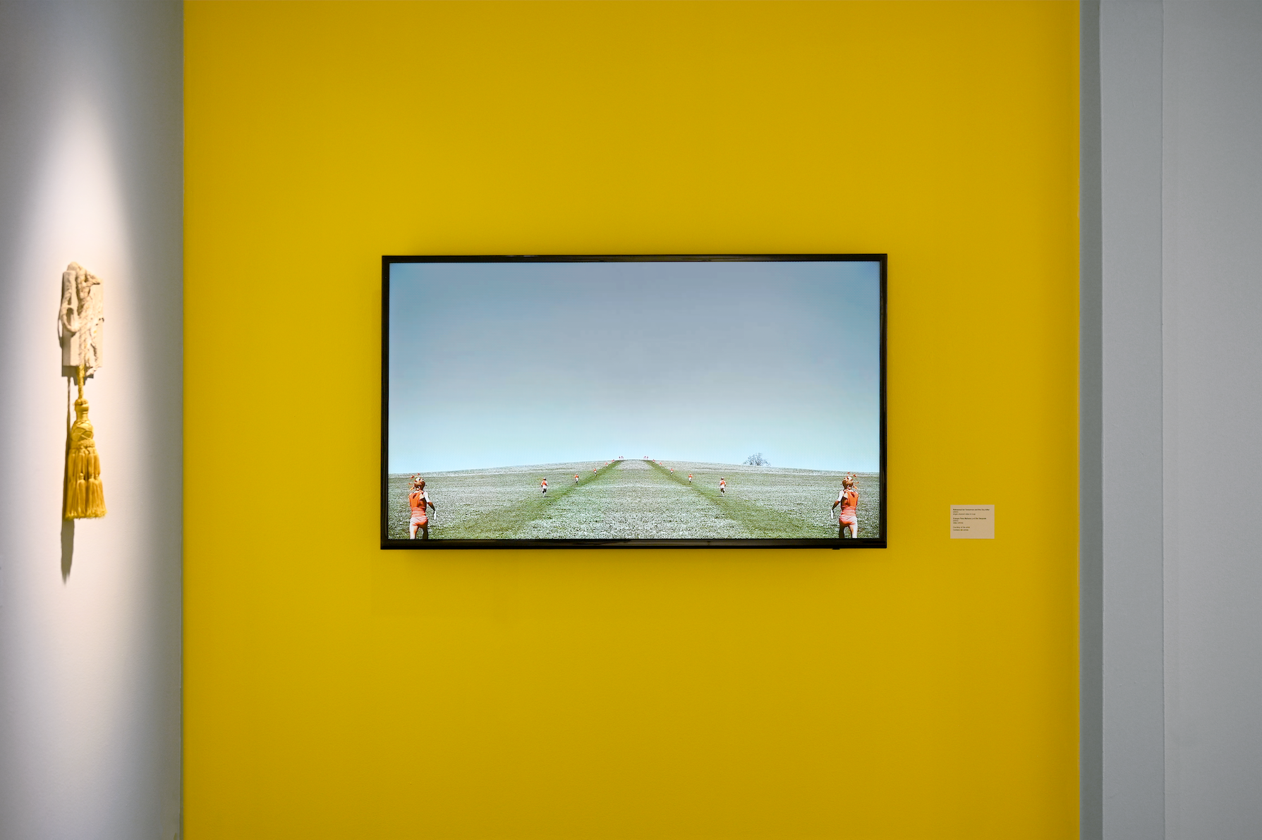 Installation view of "Desastre!" by Andrius Alvarez-Backus