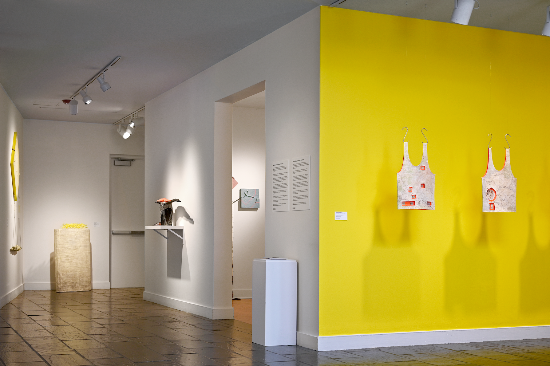 Installation view of "Desastre!" by Andrius Alvarez-Backus