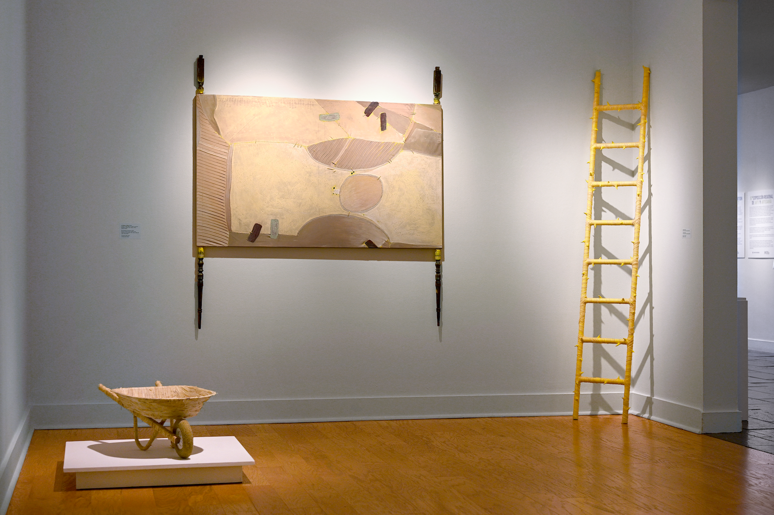 Installation view of "Desastre!" by Andrius Alvarez-Backus