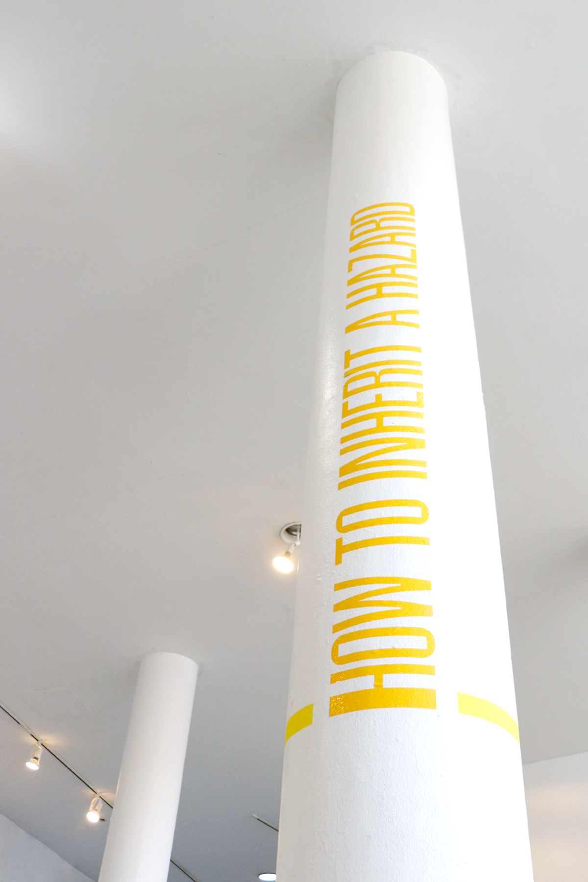 Installation view of "How to Inherit a Hazard" (2023) by Andrius Alvarez-Backus