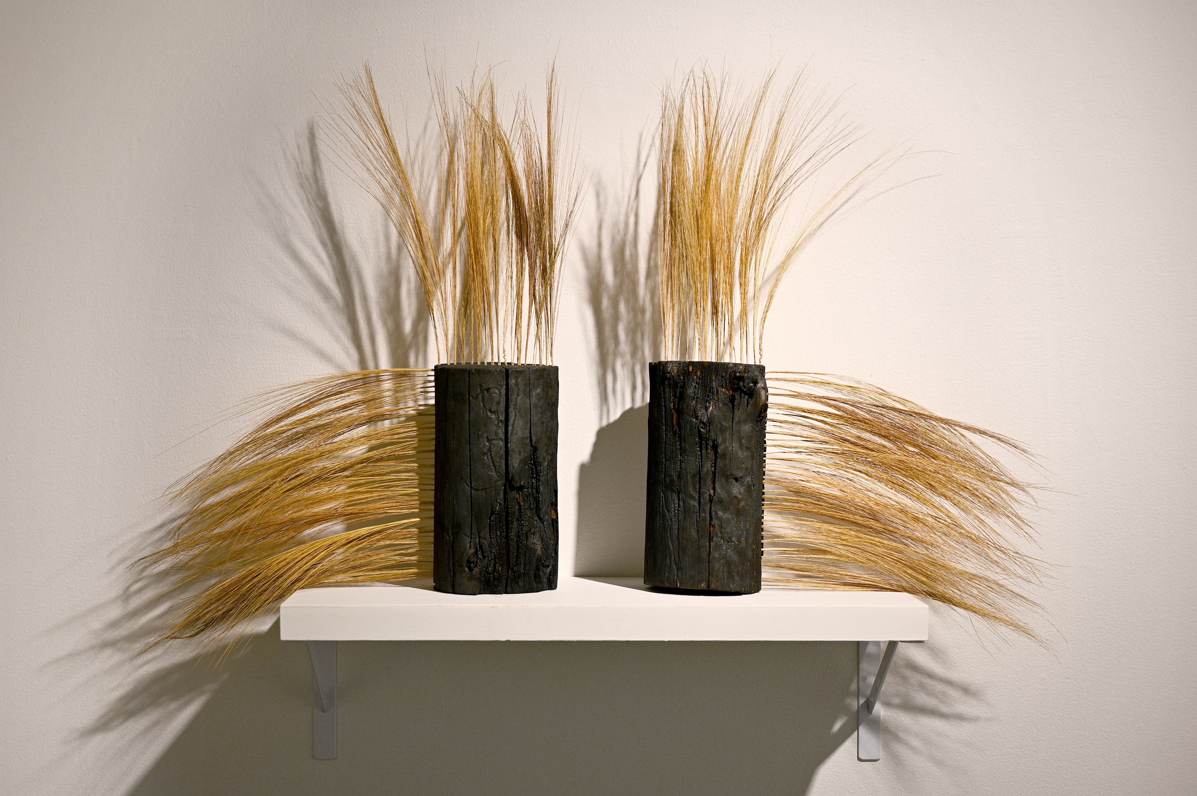"Twin Regenerations" (2023) by Andrius Alvarez-Backus