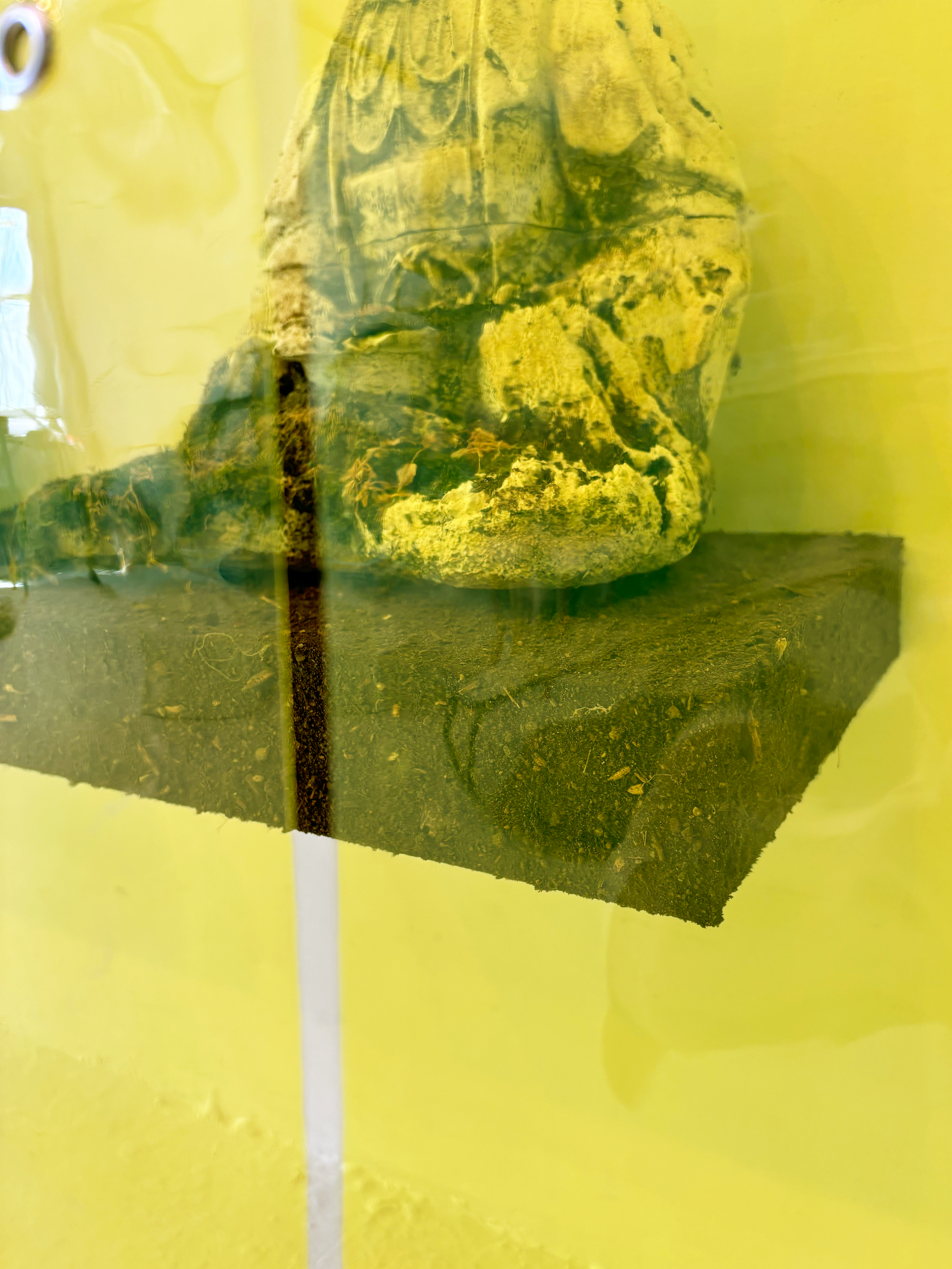 Detail of "In Defense of Our Little Homes" (2024) by Andrius Alvarez-Backus