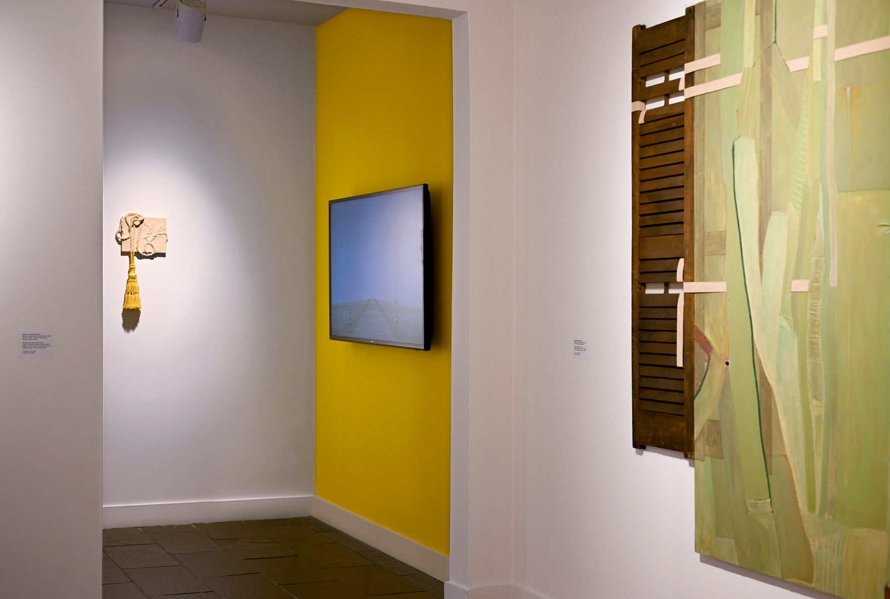 Installation view of "Desastre!" by Andrius Alvarez-Backus