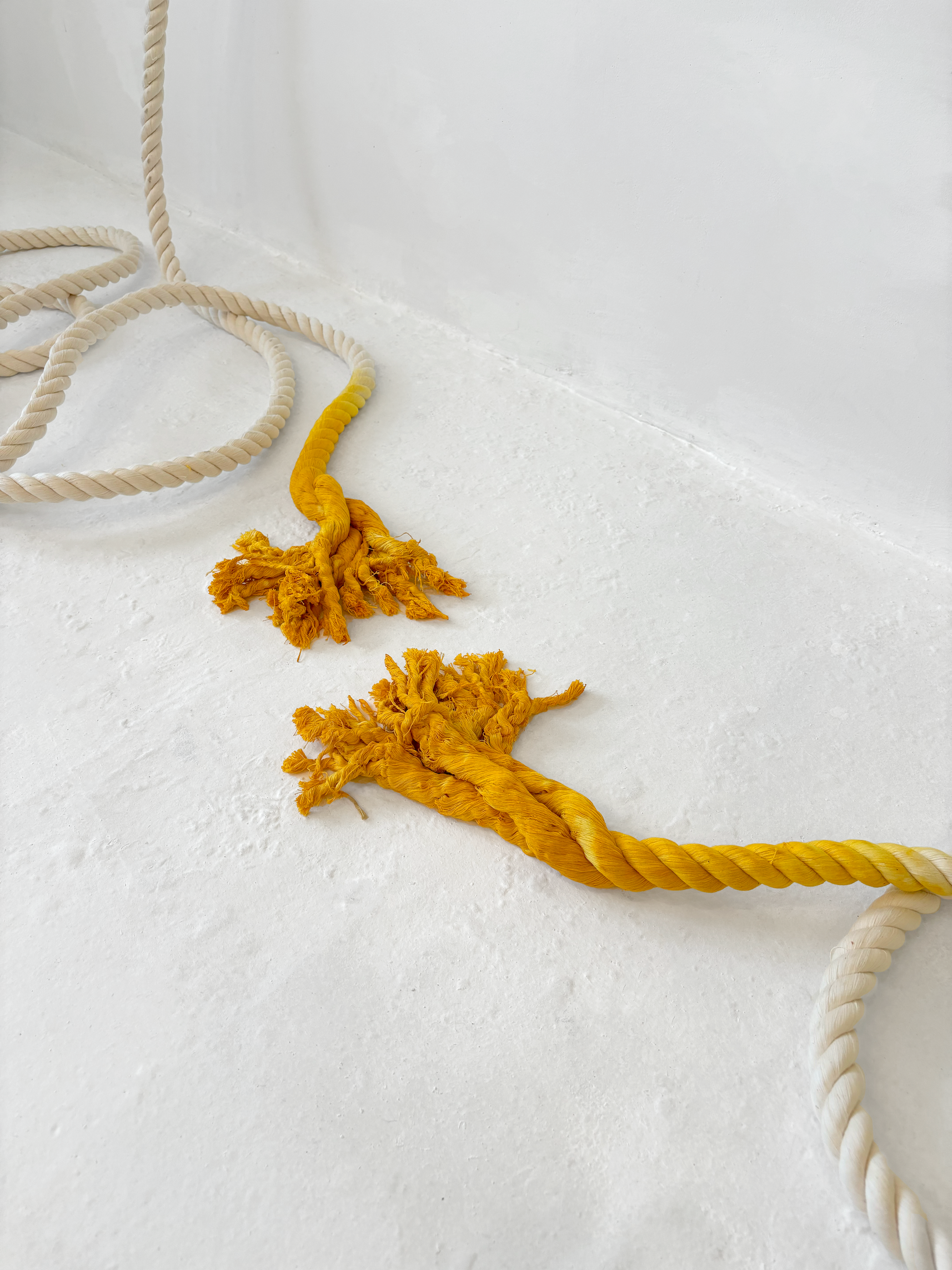 Detail of "Wherein I Long to Love You Longer" (2024) by Andrius Alvarez-Backus