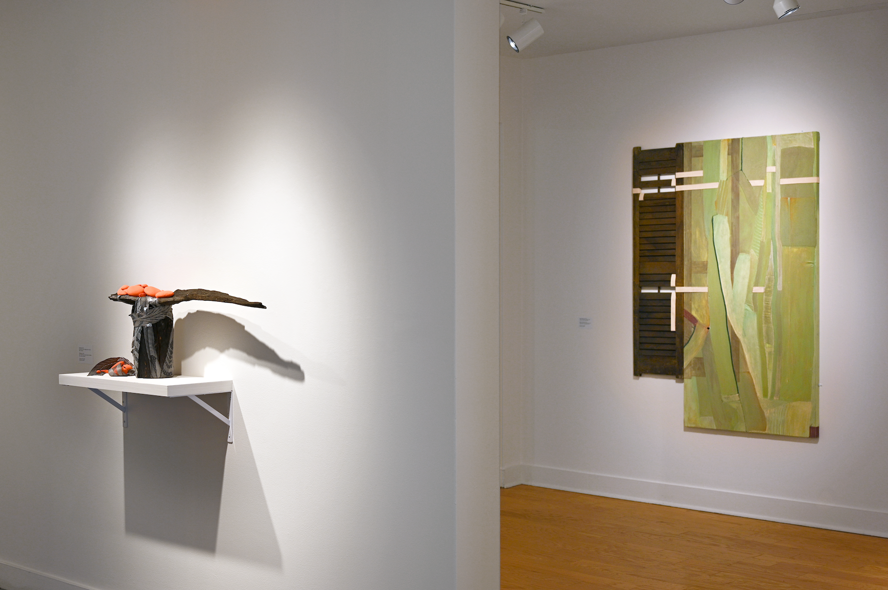 Installation view of "Desastre!" by Andrius Alvarez-Backus
