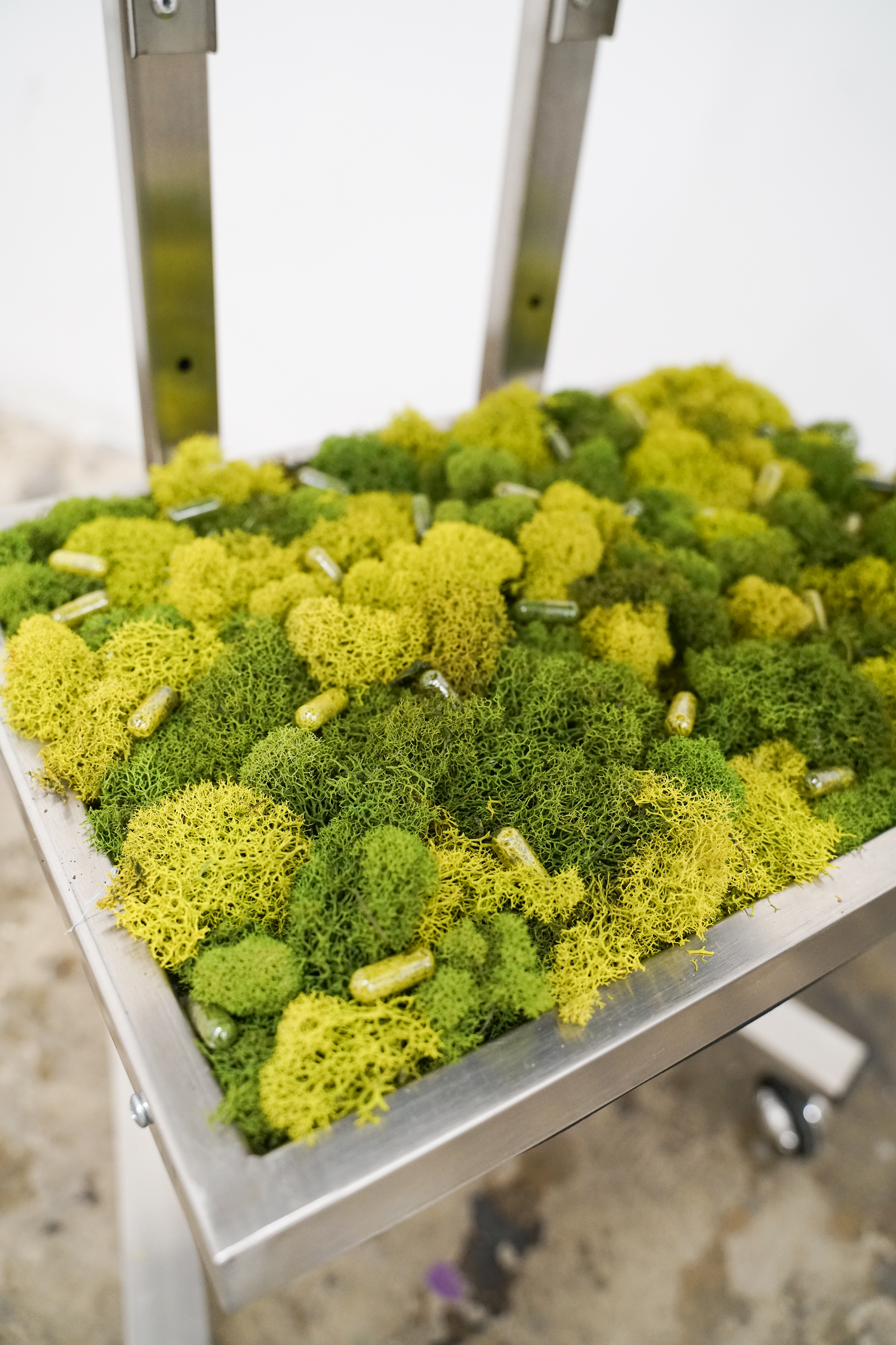 Detail of "I Can Almost Reach (Excision #3)" (2025) by Andrius Alvarez-Backus