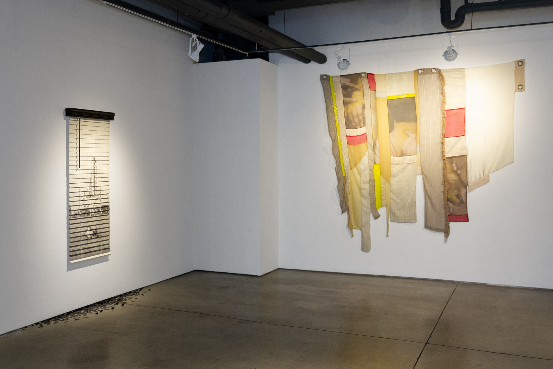Installation view of "Some Dissemblance Required" by Andrius Alvarez-Backus