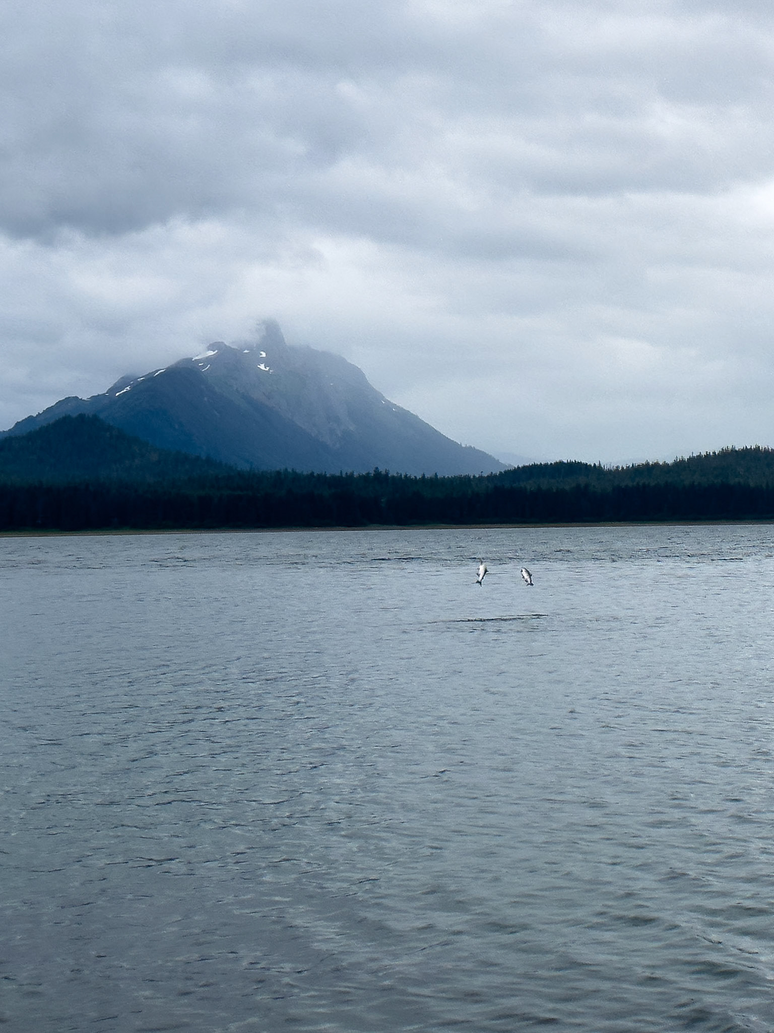 Alaska vacation in July, 2023 (Photo by Keith Sliney).