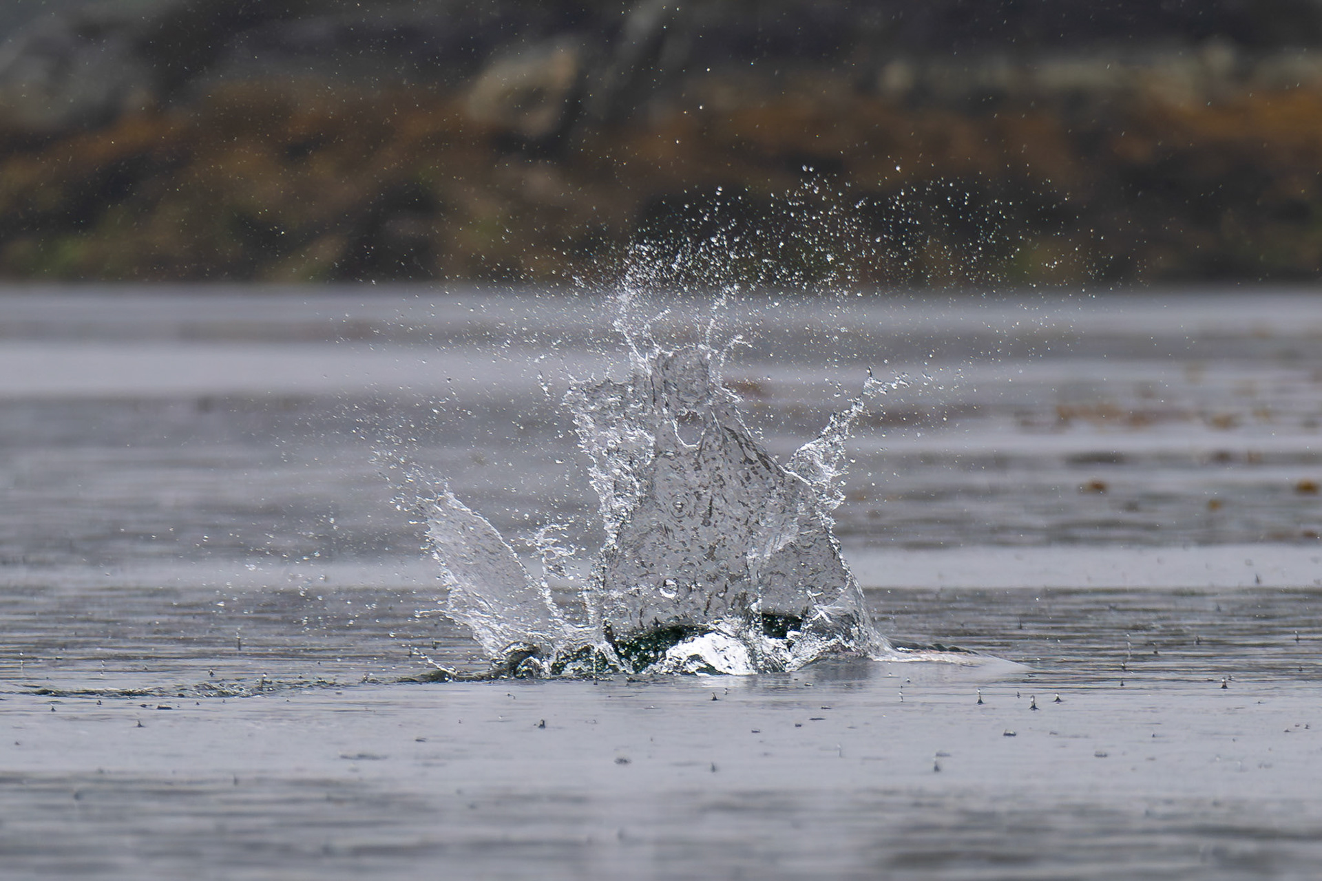 Alaska vacation in July, 2023 (Photo by Keith Sliney).