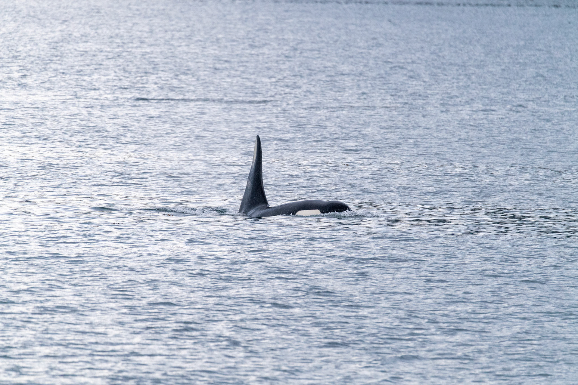 Alaska vacation in July, 2023 (Photo by Keith Sliney).
