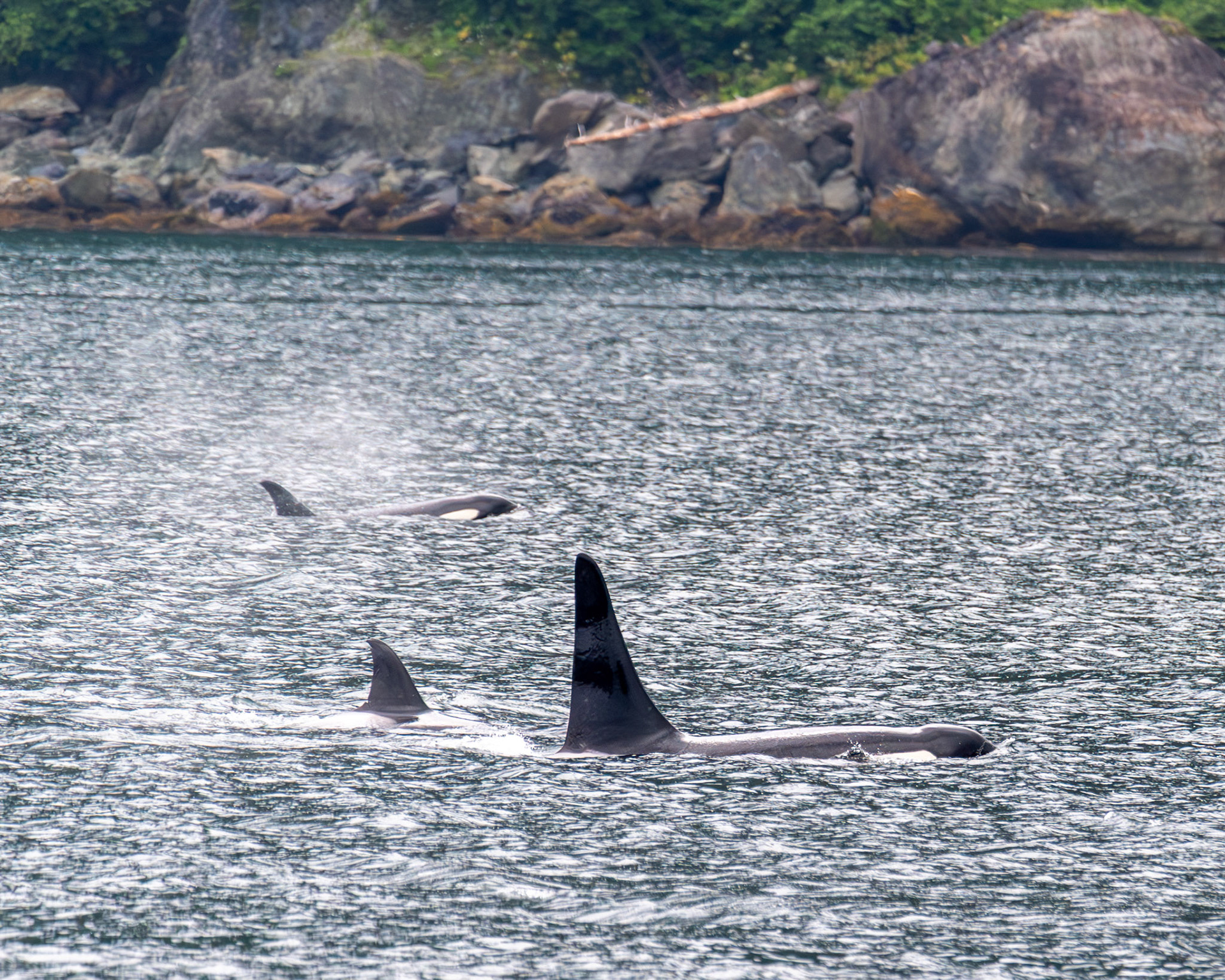 Alaska vacation in July, 2023 (Photo by Keith Sliney).