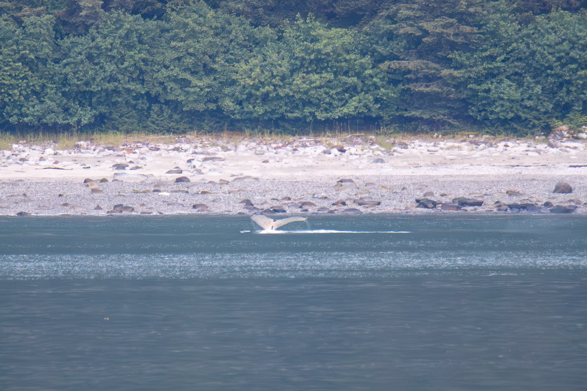 Alaska vacation in July, 2023 (Photo by Keith Sliney).