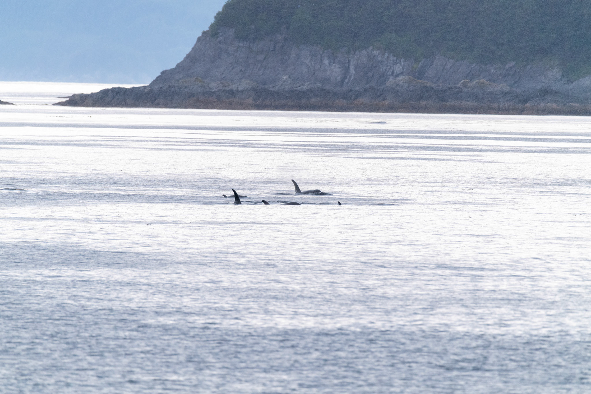 Alaska vacation in July, 2023 (Photo by Keith Sliney).