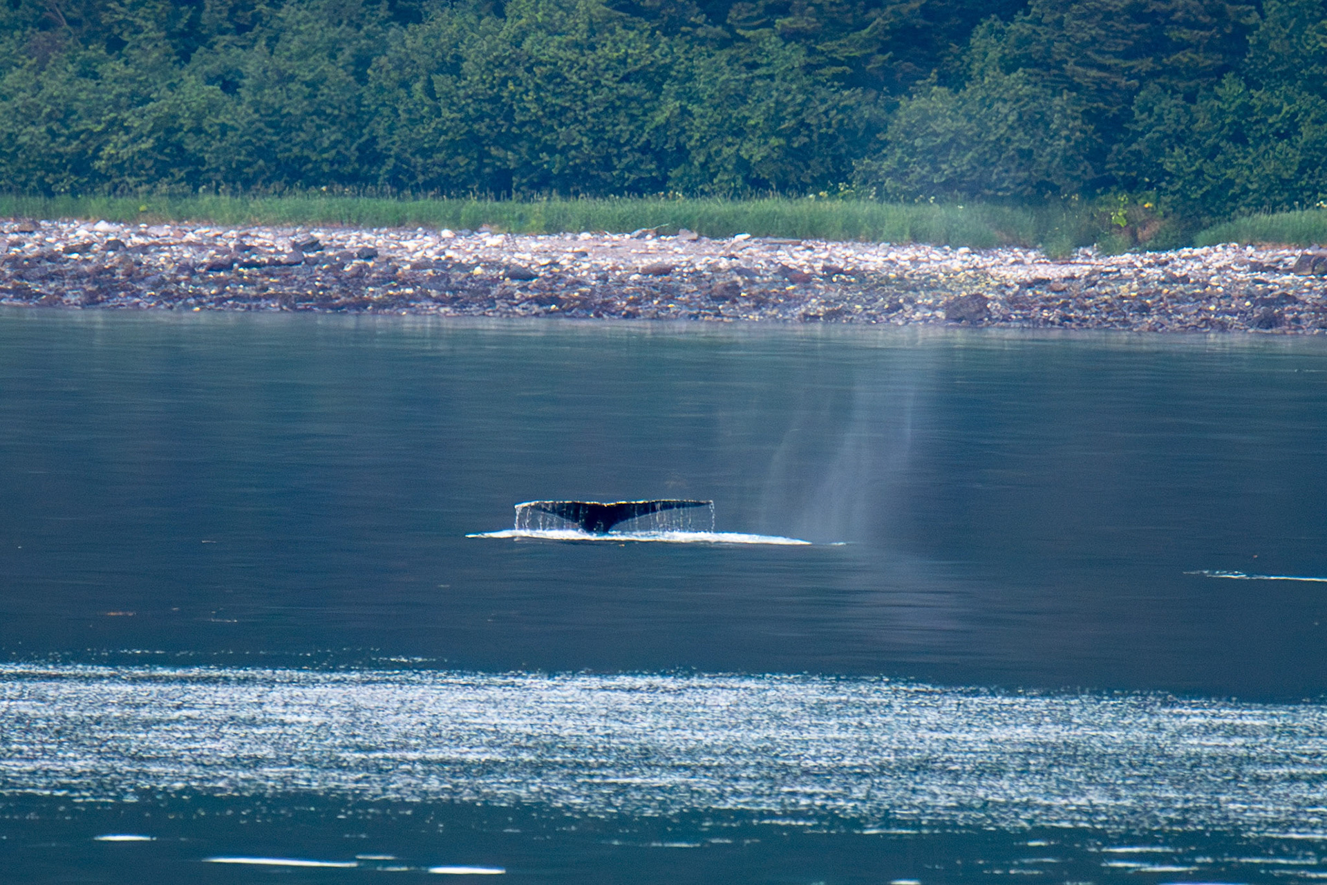 Alaska vacation in July, 2023 (Photo by Keith Sliney).