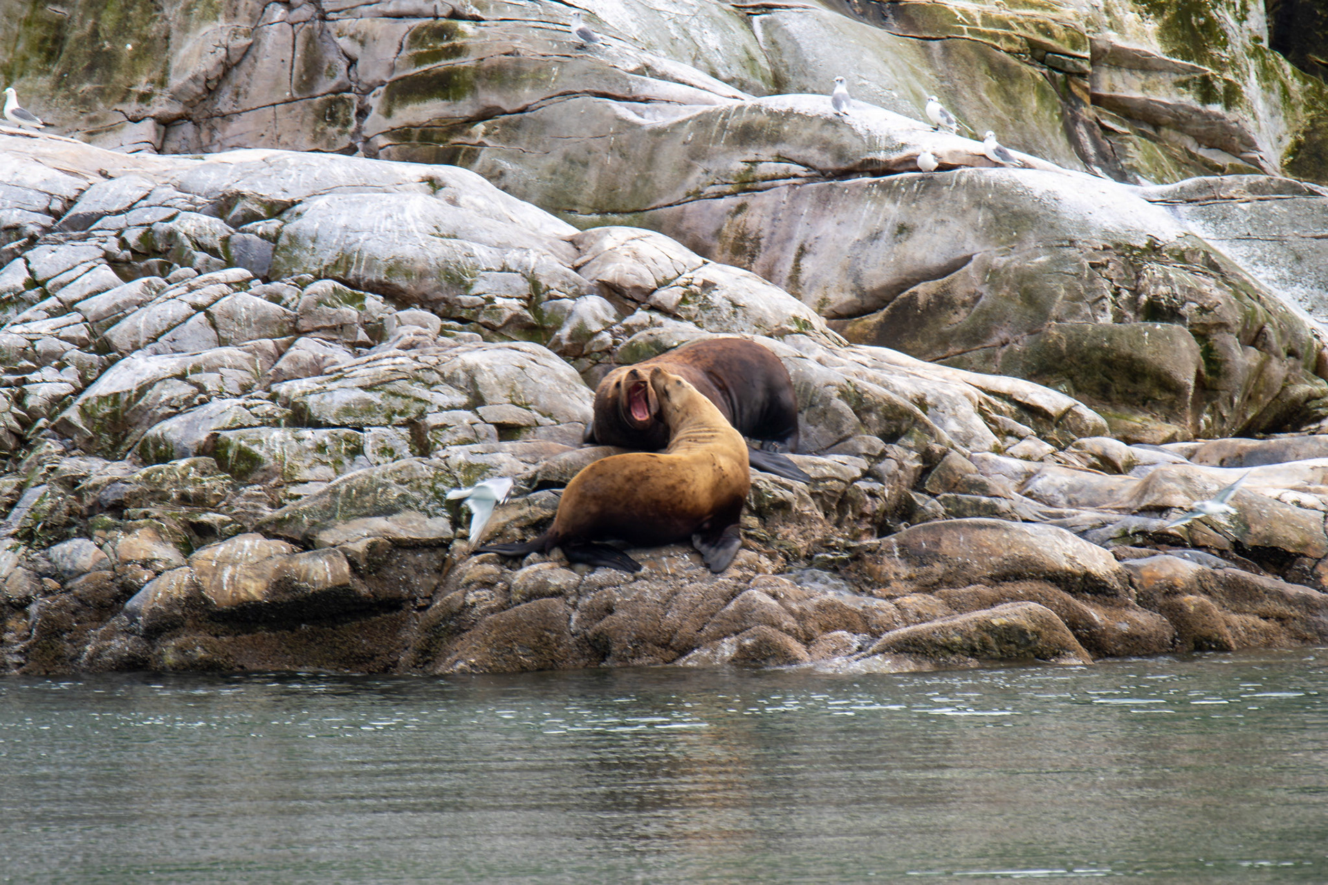 Alaska vacation in July, 2023 (Photo by Keith Sliney).