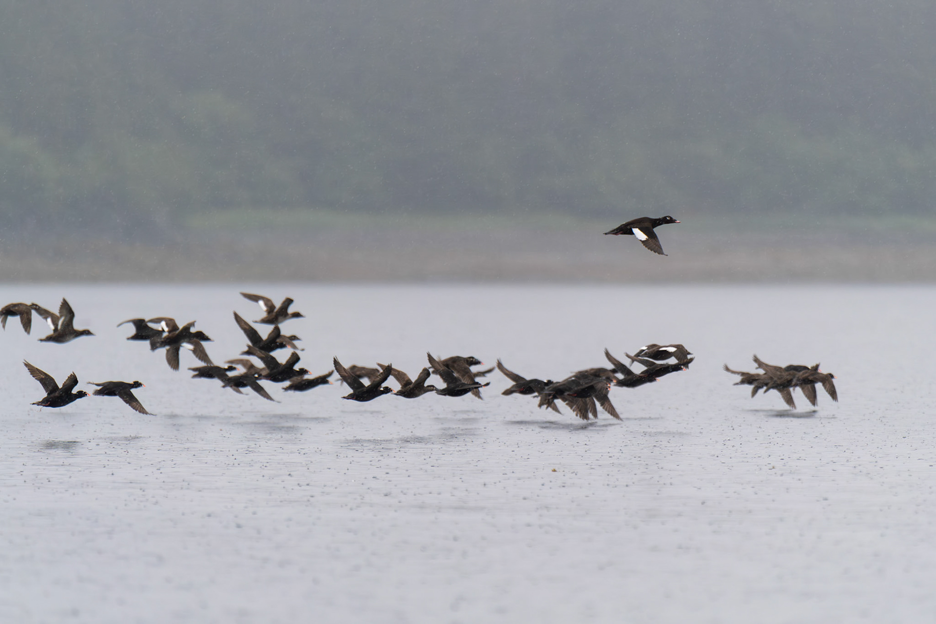 Alaska vacation in July, 2023 (Photo by Keith Sliney).