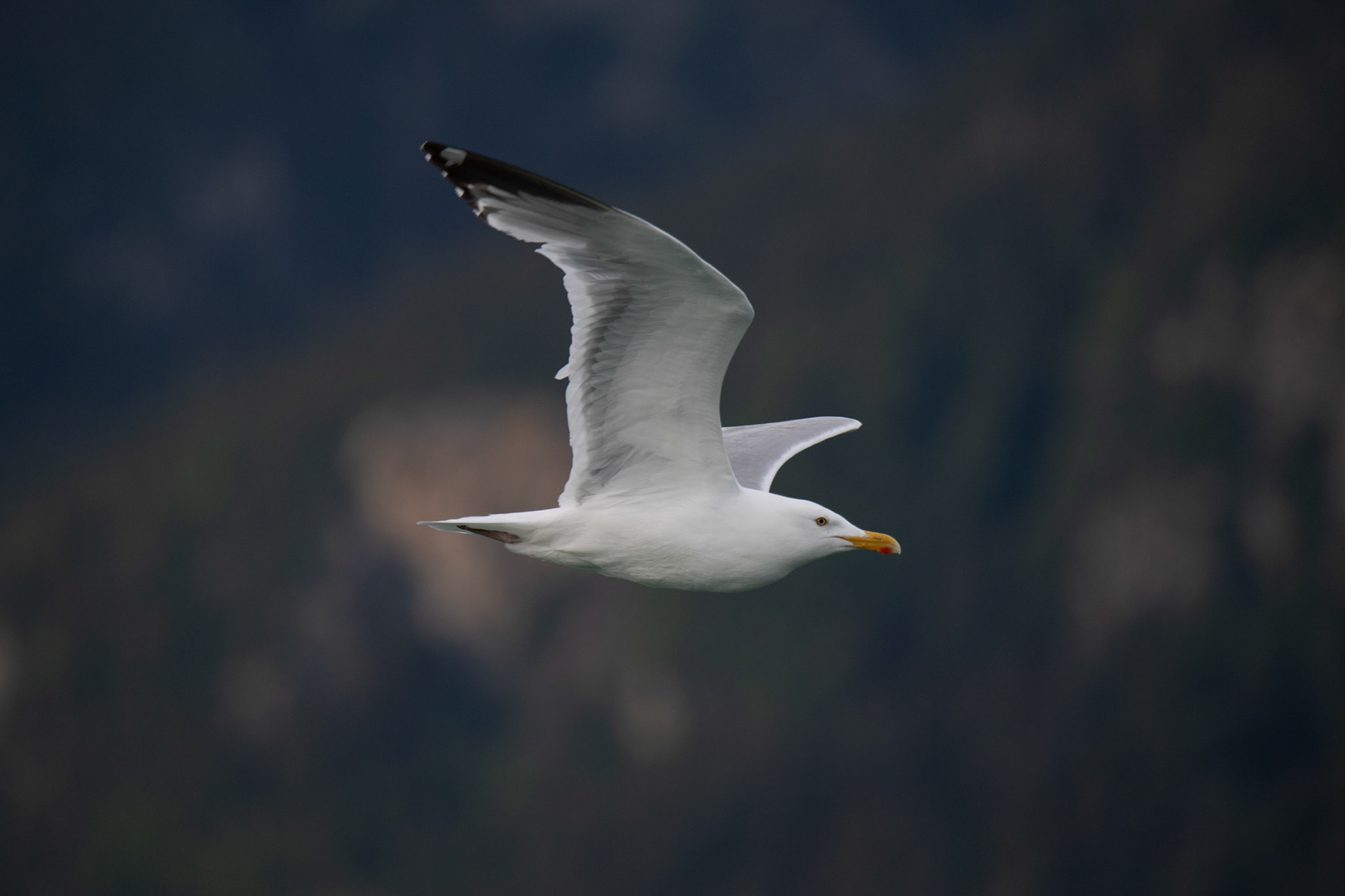 Alaska vacation in July, 2023 (Photo by Keith Sliney).