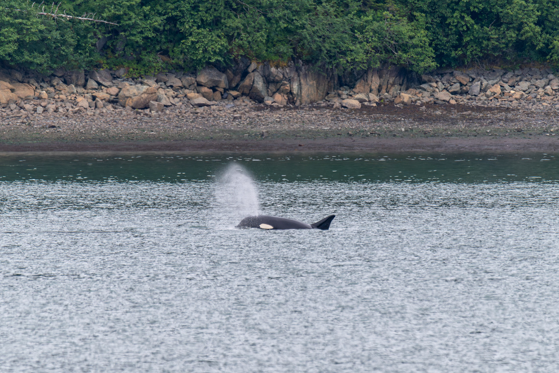 Alaska vacation in July, 2023 (Photo by Keith Sliney).