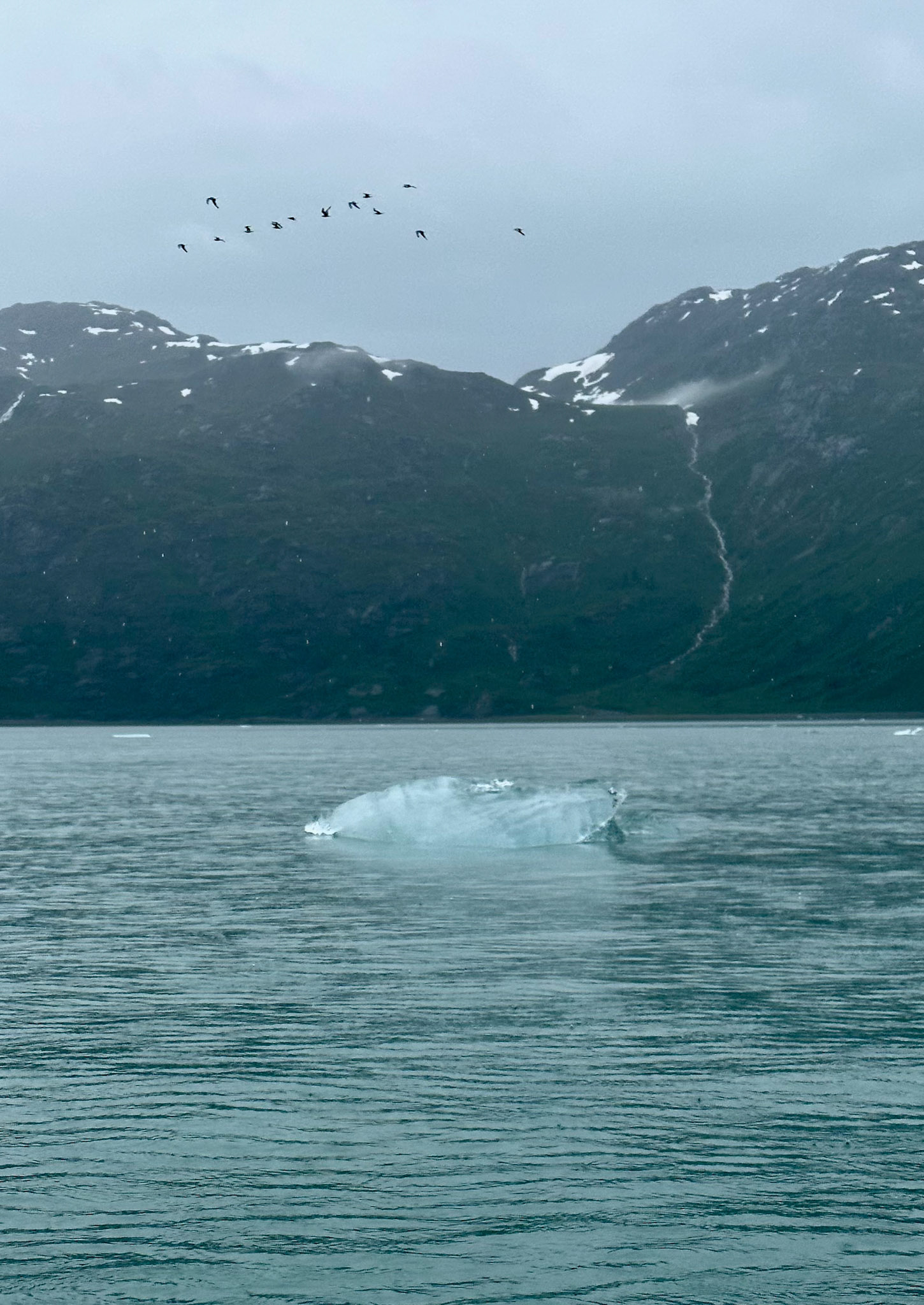 Alaska vacation in July, 2023 (Photo by Keith Sliney).