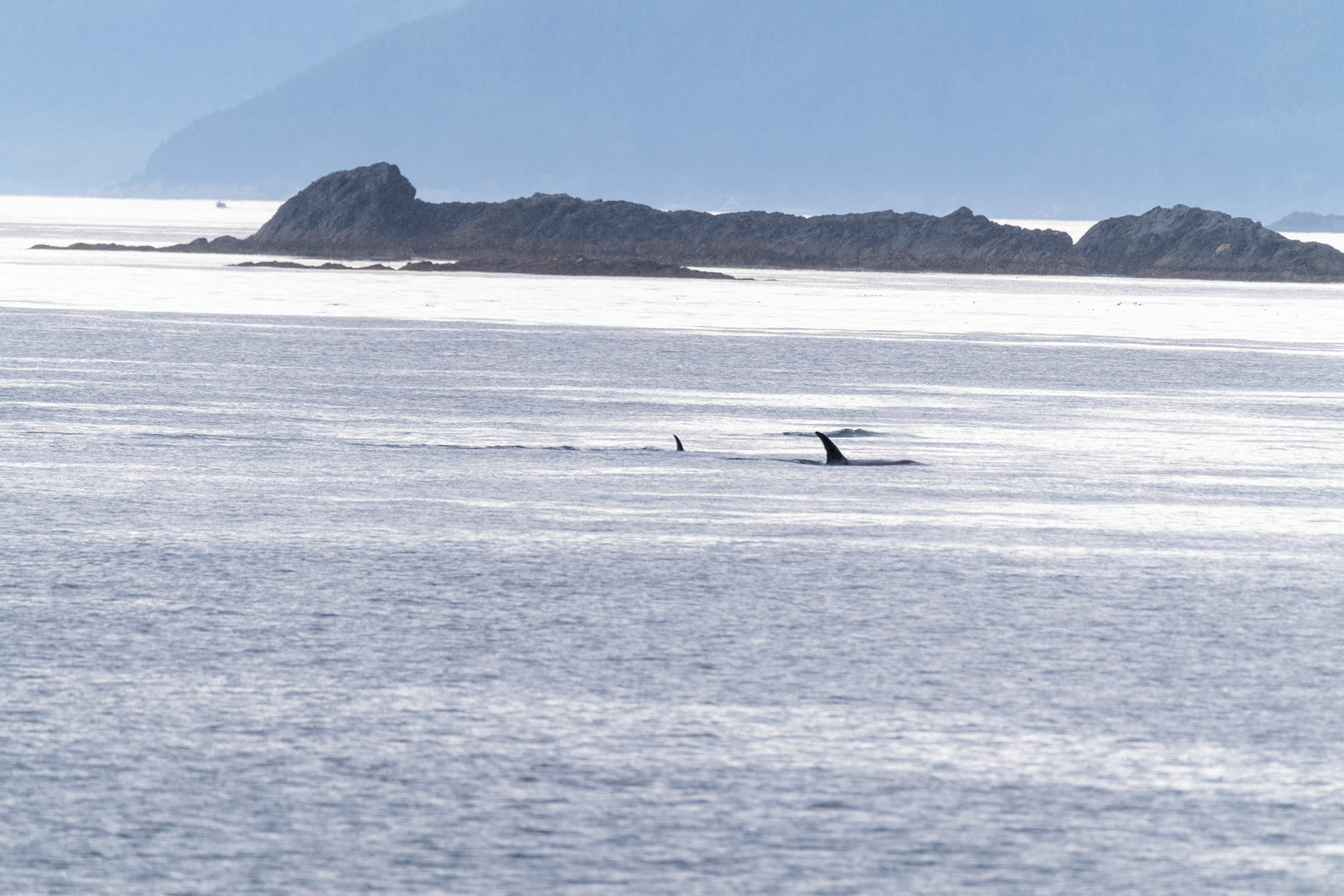 Alaska vacation in July, 2023 (Photo by Keith Sliney).