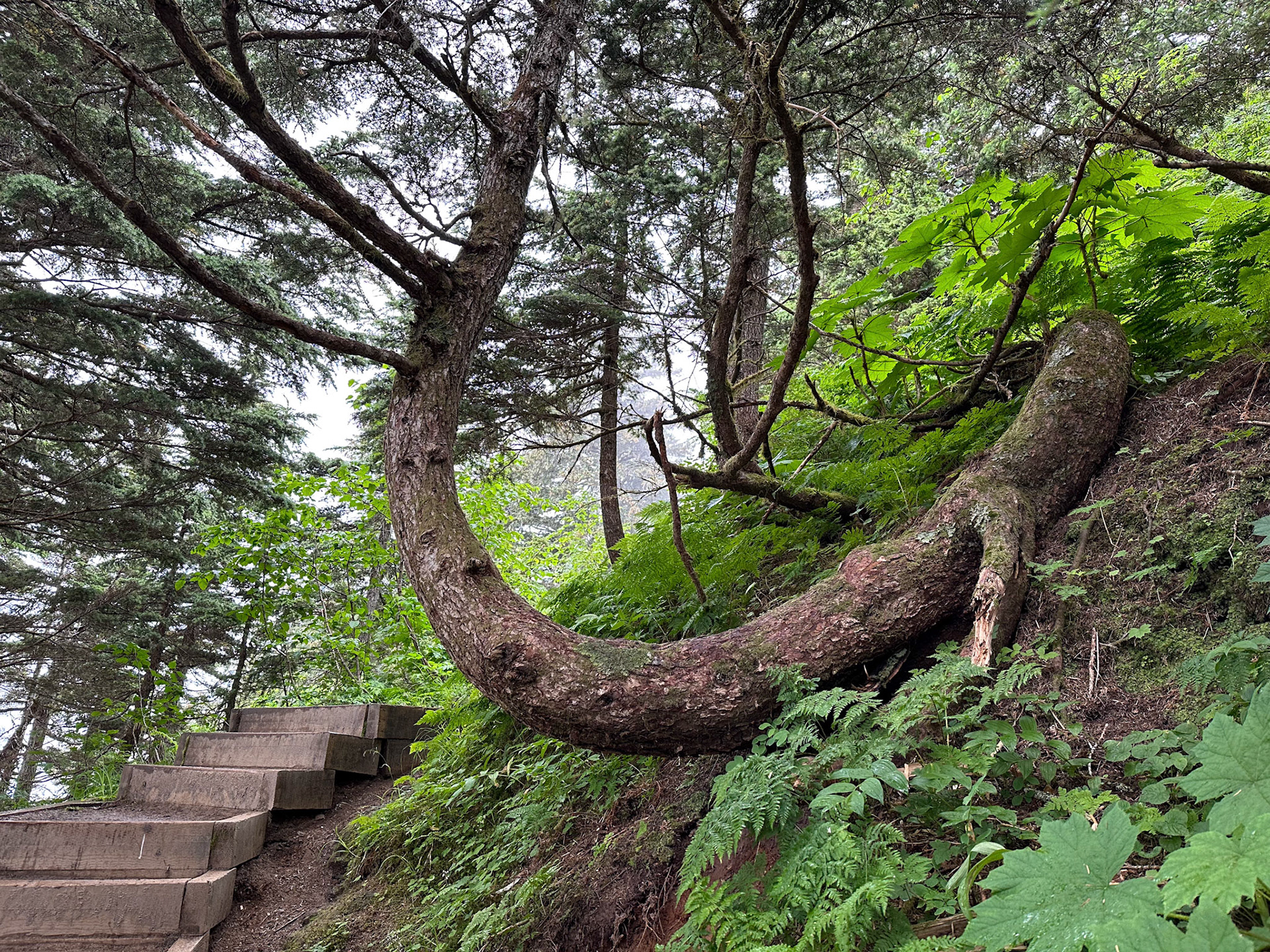 Alaska vacation in July, 2023 (Photo by Keith Sliney).
