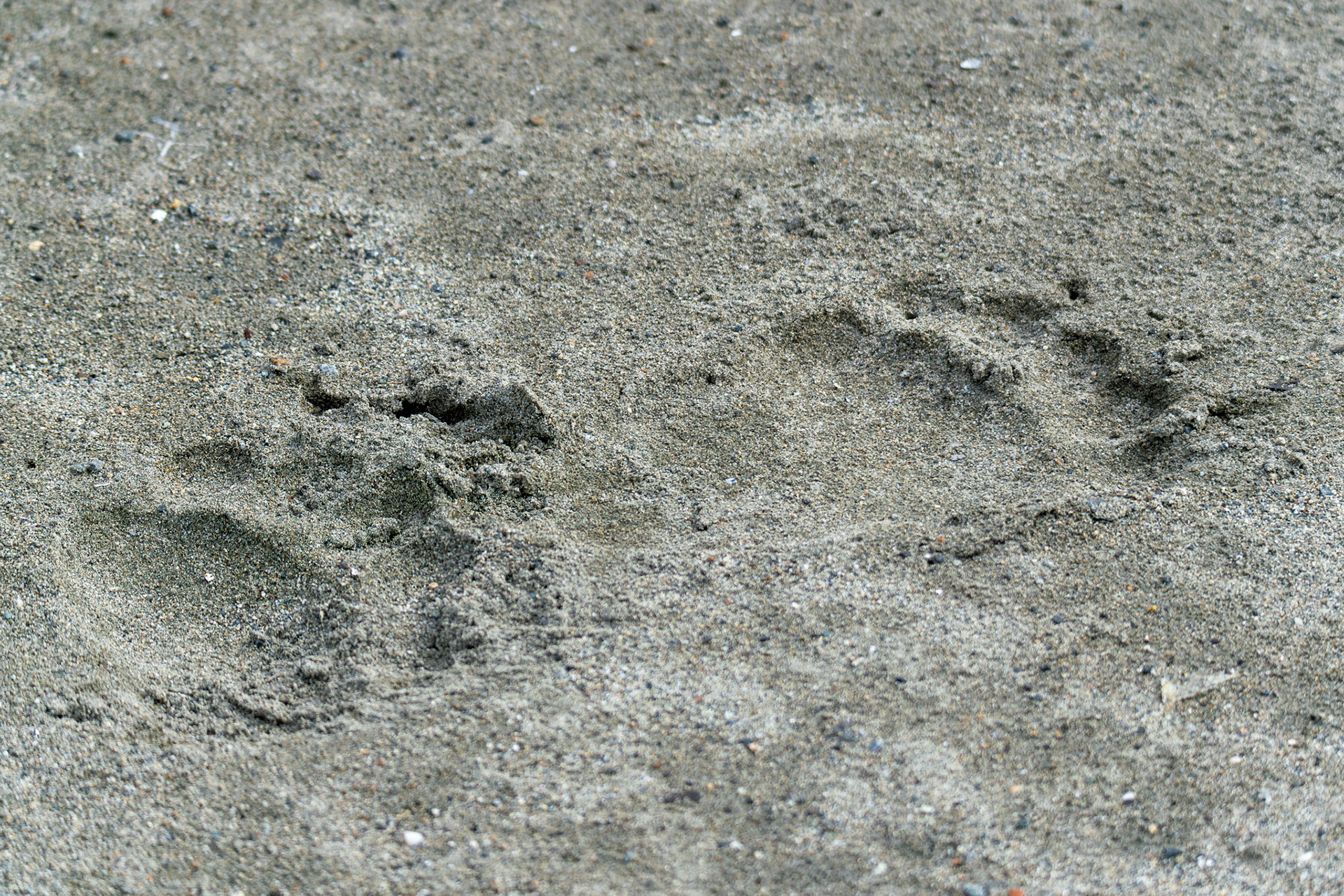 Alaska vacation in July, 2023 (Photo by Keith Sliney).
