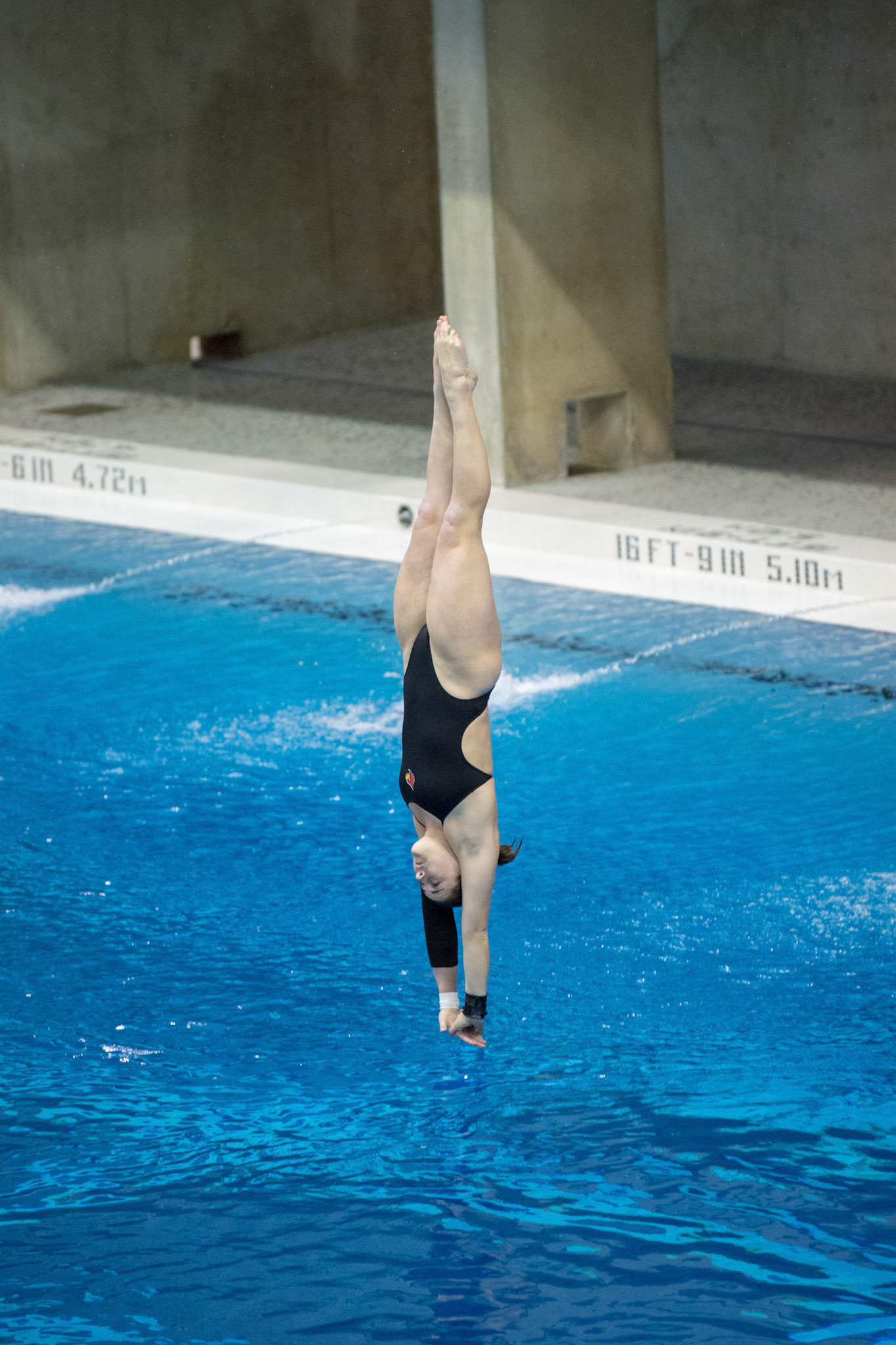 COLUMBUS, OH - MARCH 10, 2018. University of L:ouisville Divers at NCAA Diving Zone C at Ohio State University. Photo by Keith Sliney.