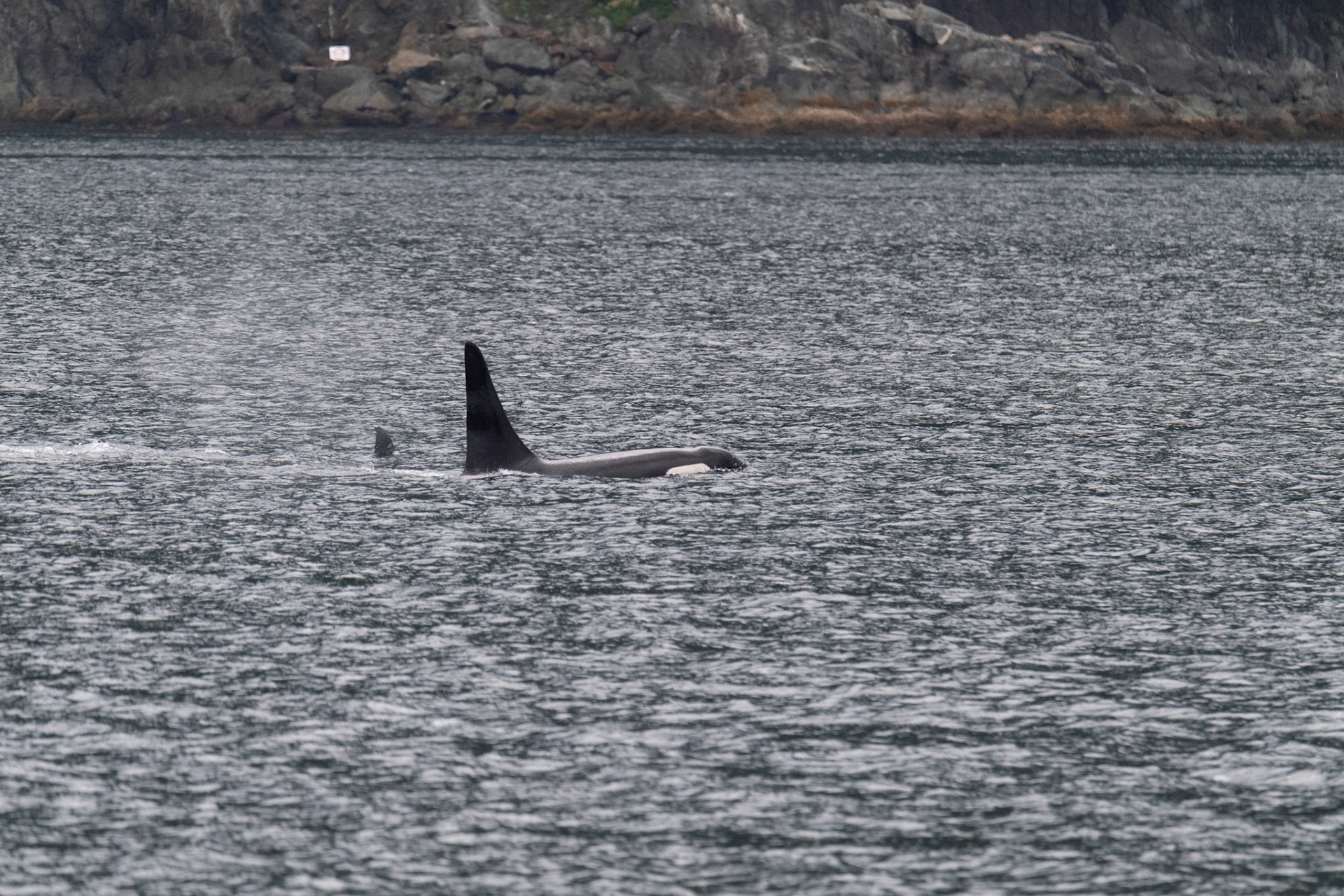 Alaska vacation in July, 2023 (Photo by Keith Sliney).