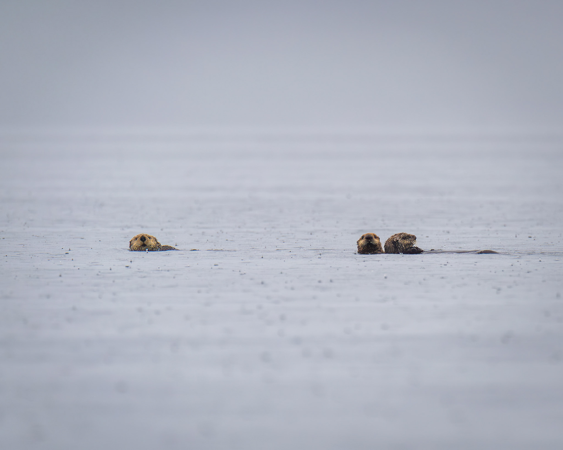 Alaska vacation in July, 2023 (Photo by Keith Sliney).